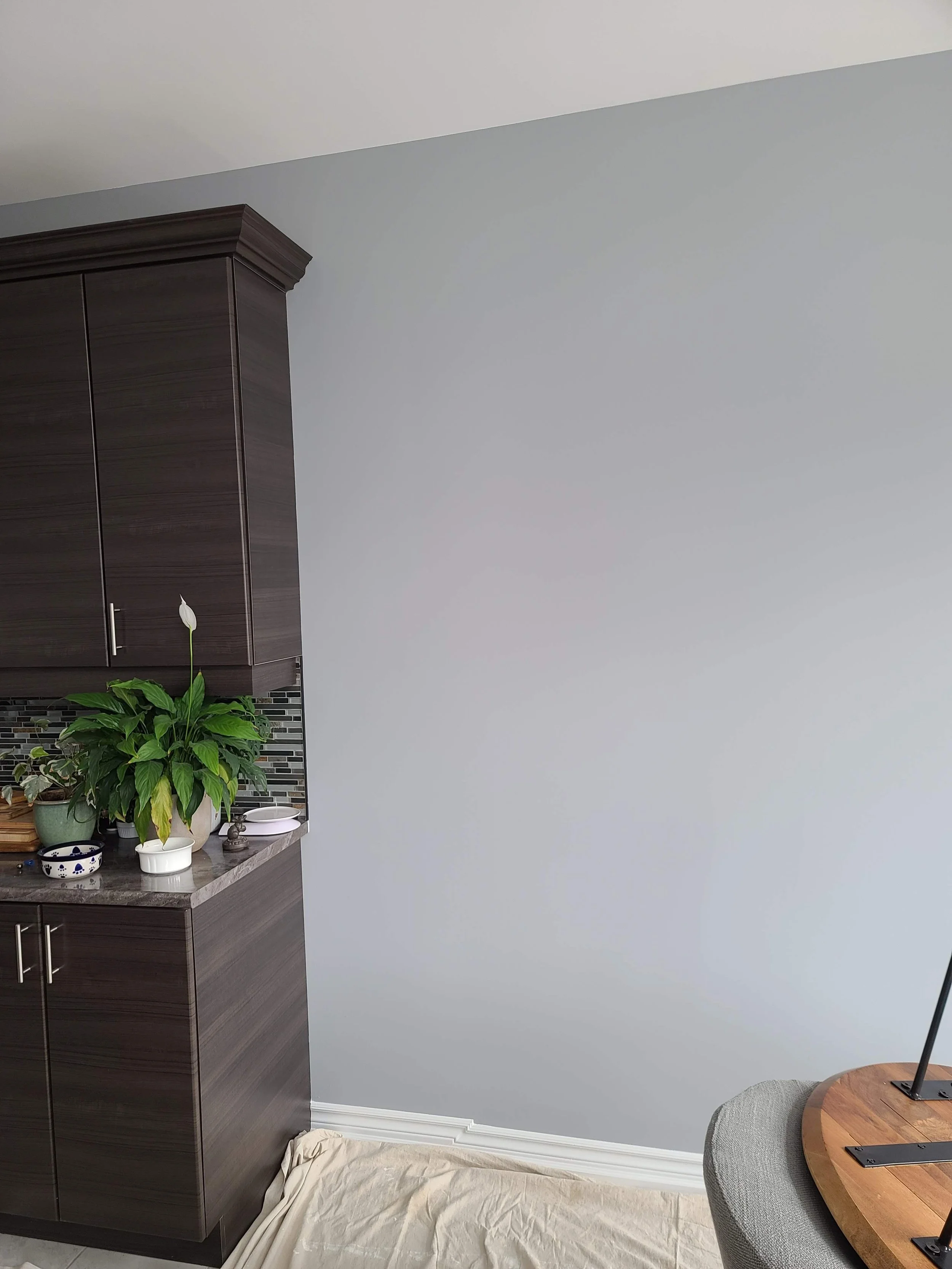 A corner of a room with dark wood cabinetry, potted plants, and a gray wall with a white baseboard. Part of a round wooden table with a gray chair and a black metal lamp are visible.