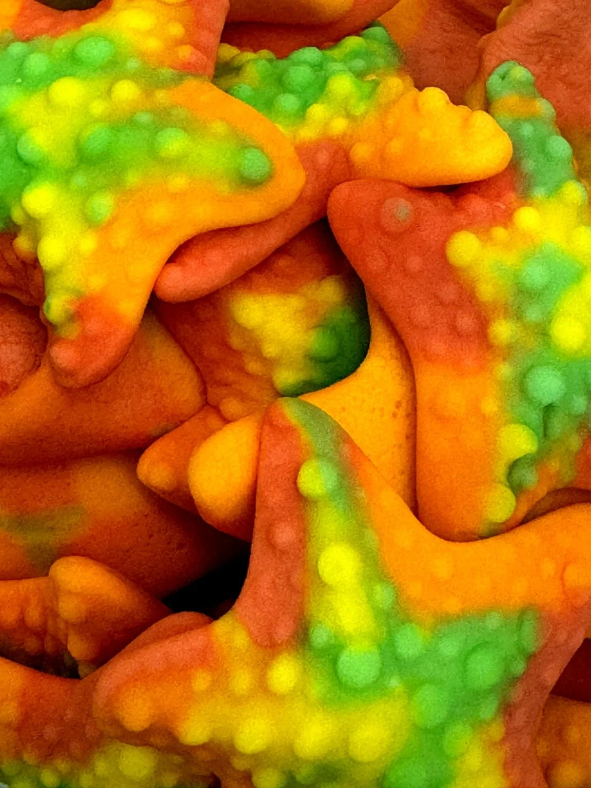 Estrelas do Mar Brilho