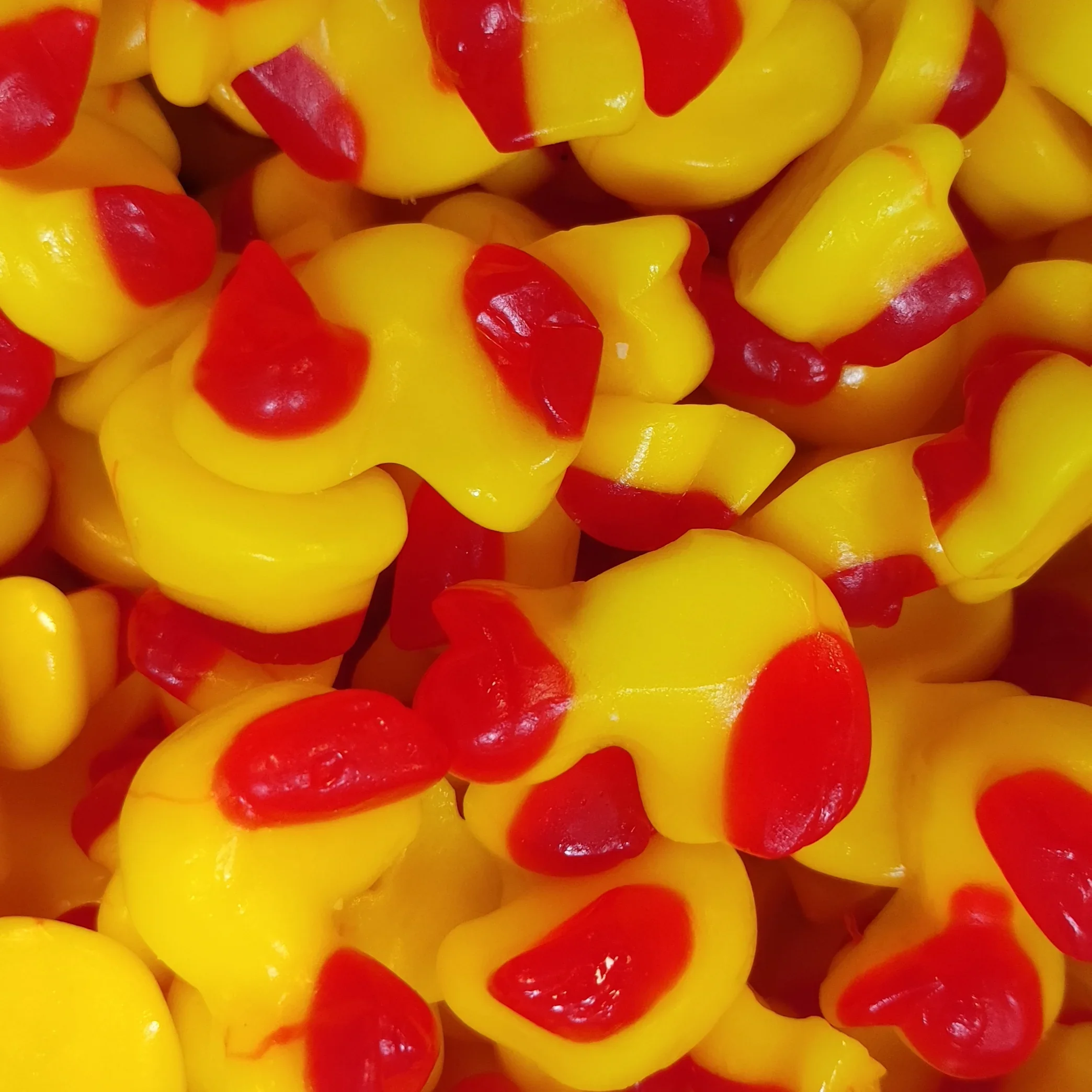Patinhos Brilho