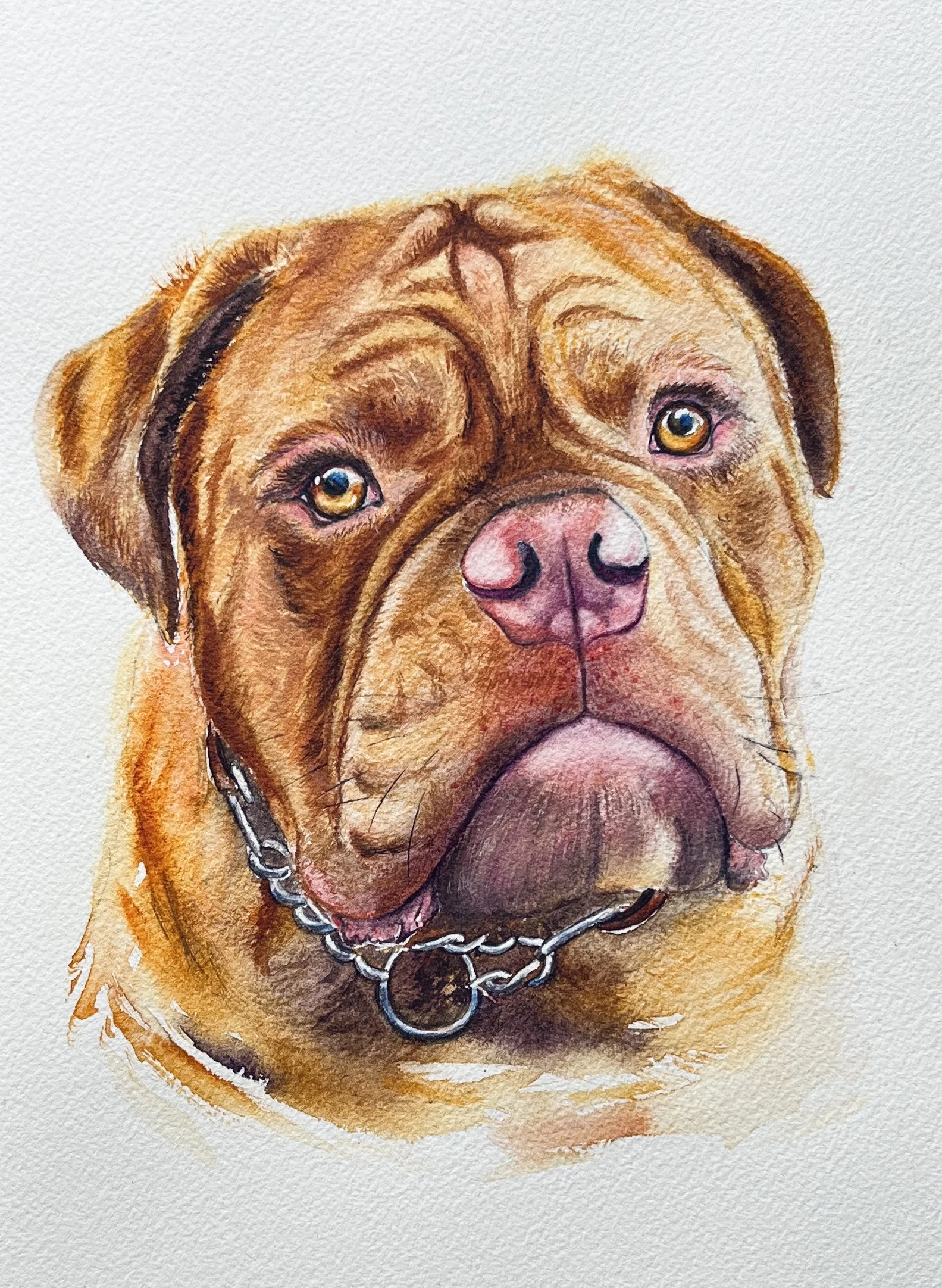 Watercolor painting of a brown dog with a pink nose, wearing a chain collar.