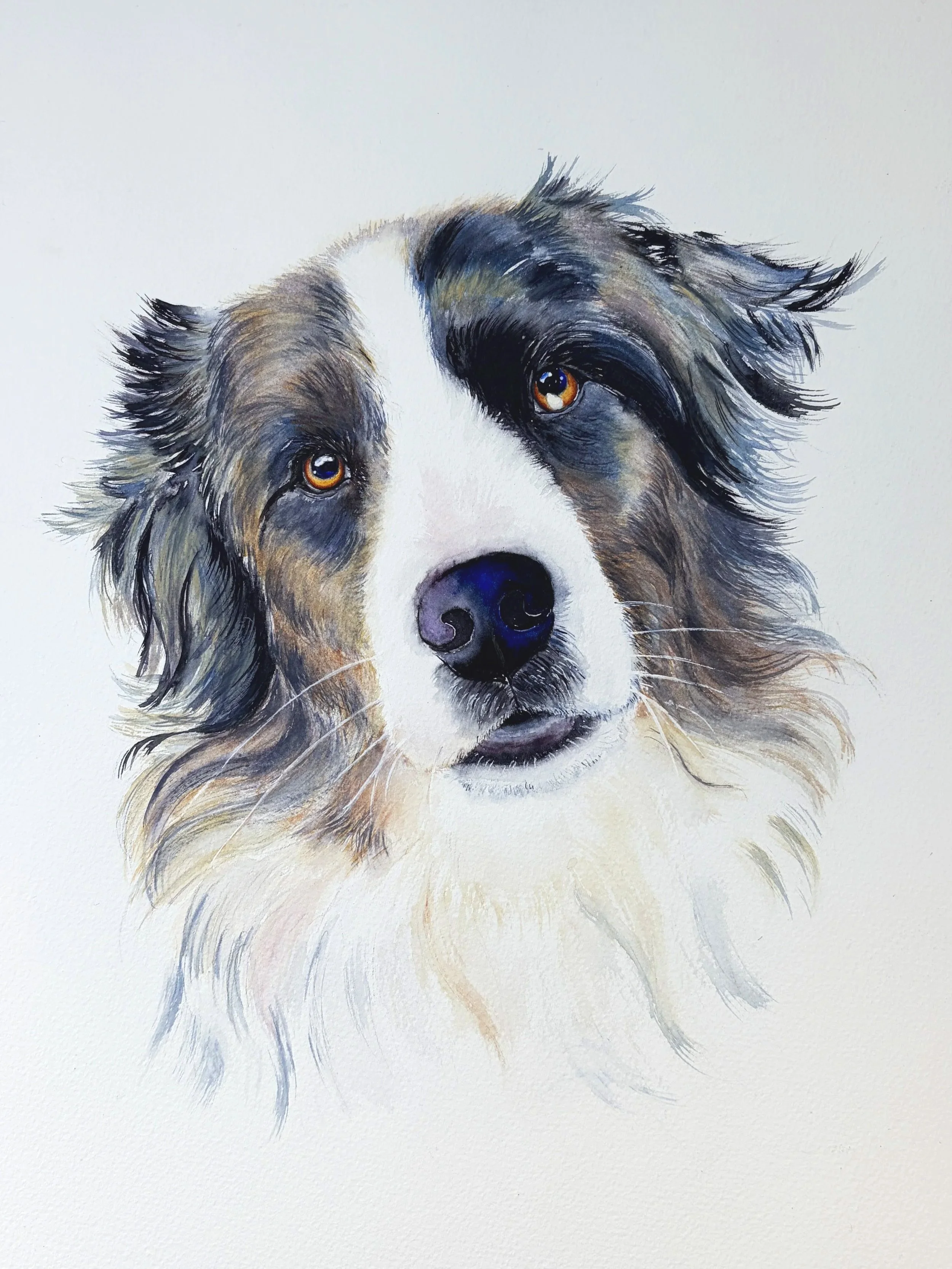 A watercolor painting of a dog with brown, white, and black fur, gazing directly at the viewer with amber eyes.