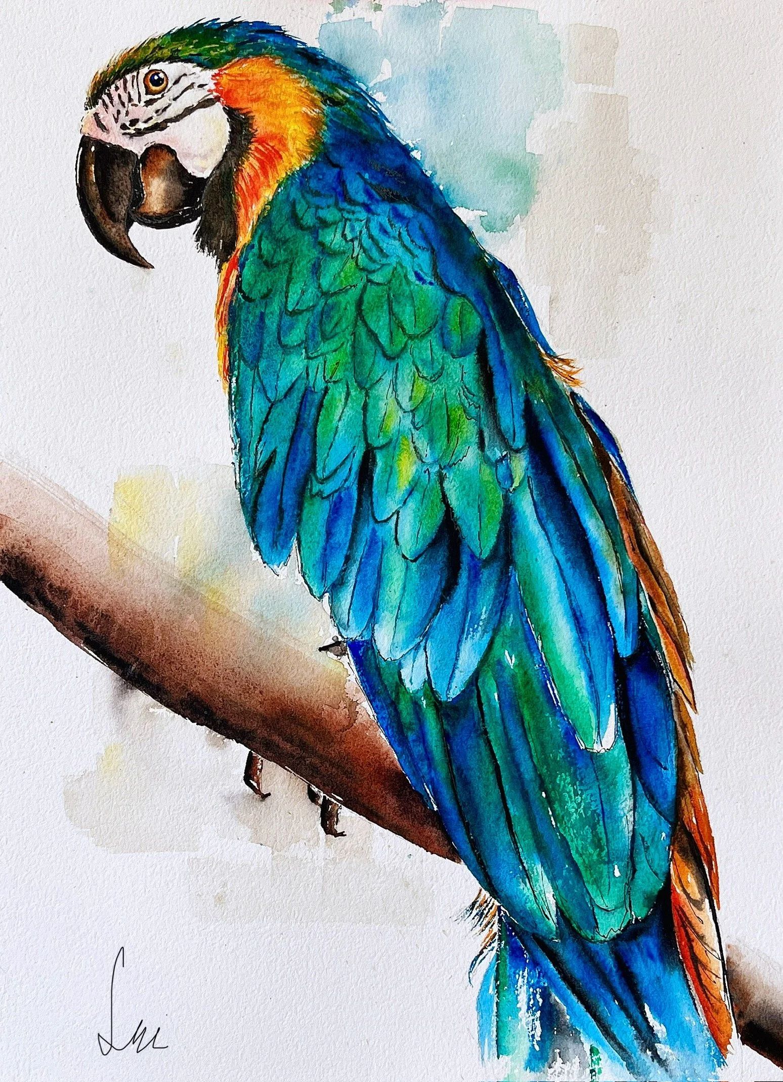 Watercolor painting of a colorful macaw perched on a branch, with vibrant blue, green, yellow, orange, and red feathers.