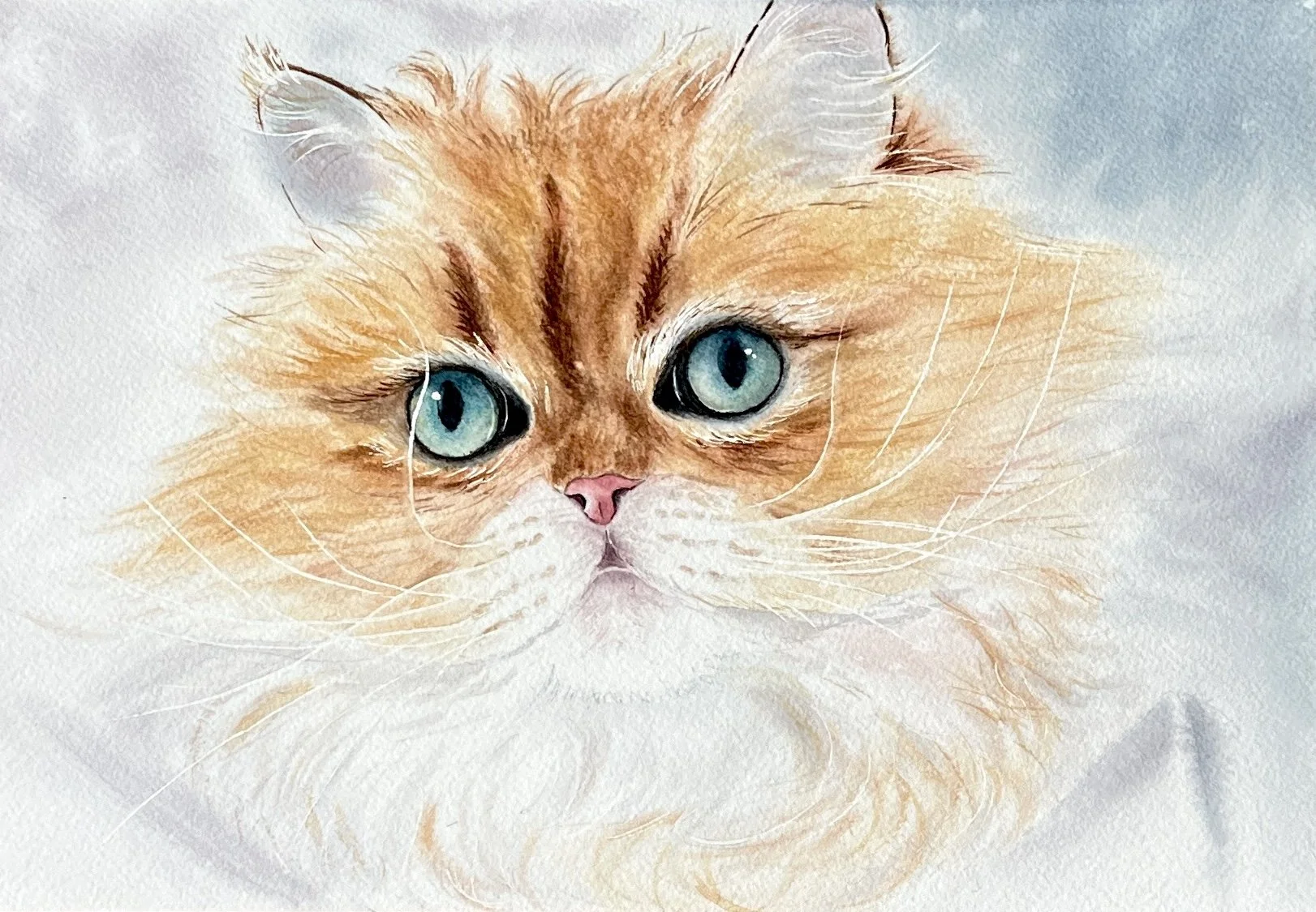 A watercolor painting of a fluffy orange cat with striking blue eyes, pink nose, and long white whiskers.