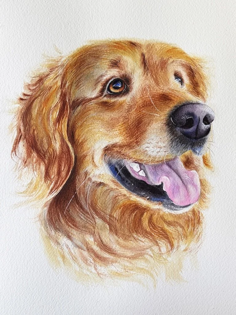 Watercolor painting of a golden retriever dog with a happy expression, tongue out, and brown eyes.