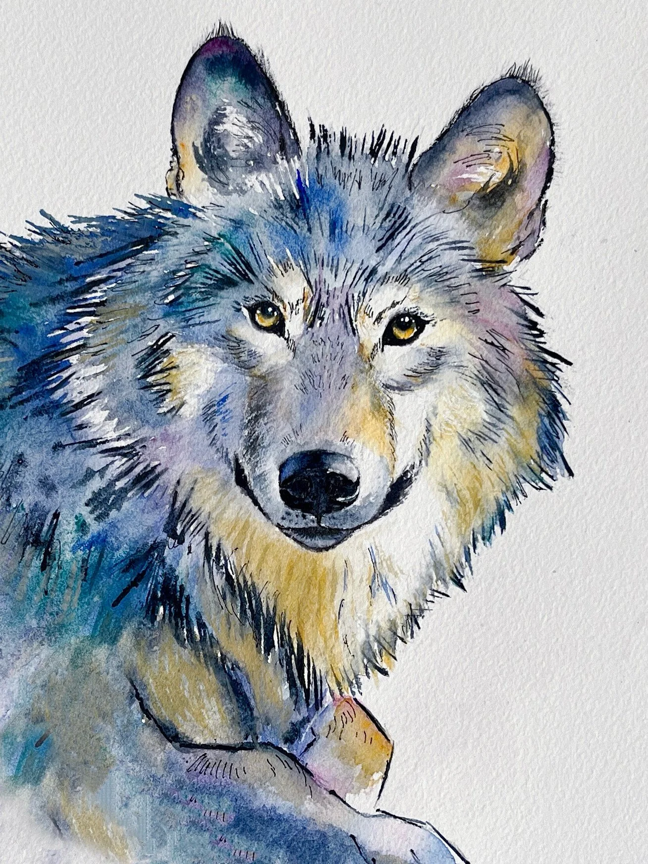 Watercolor painting of a wolf with yellow eyes, gray and tan fur, and a detailed face, on a white background.