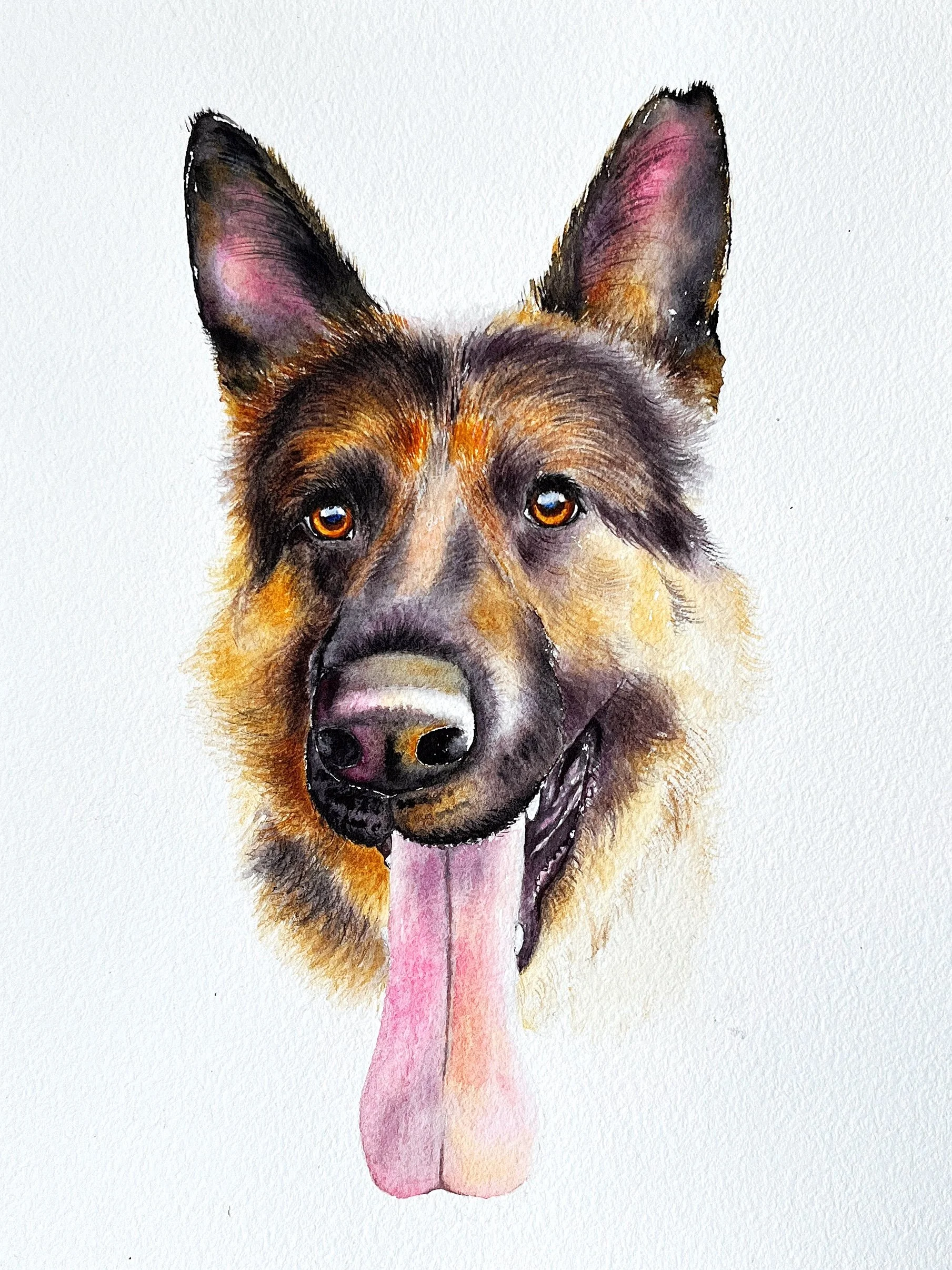 Watercolor painting of a German Shepherd dog with its tongue hanging out, facing forward.