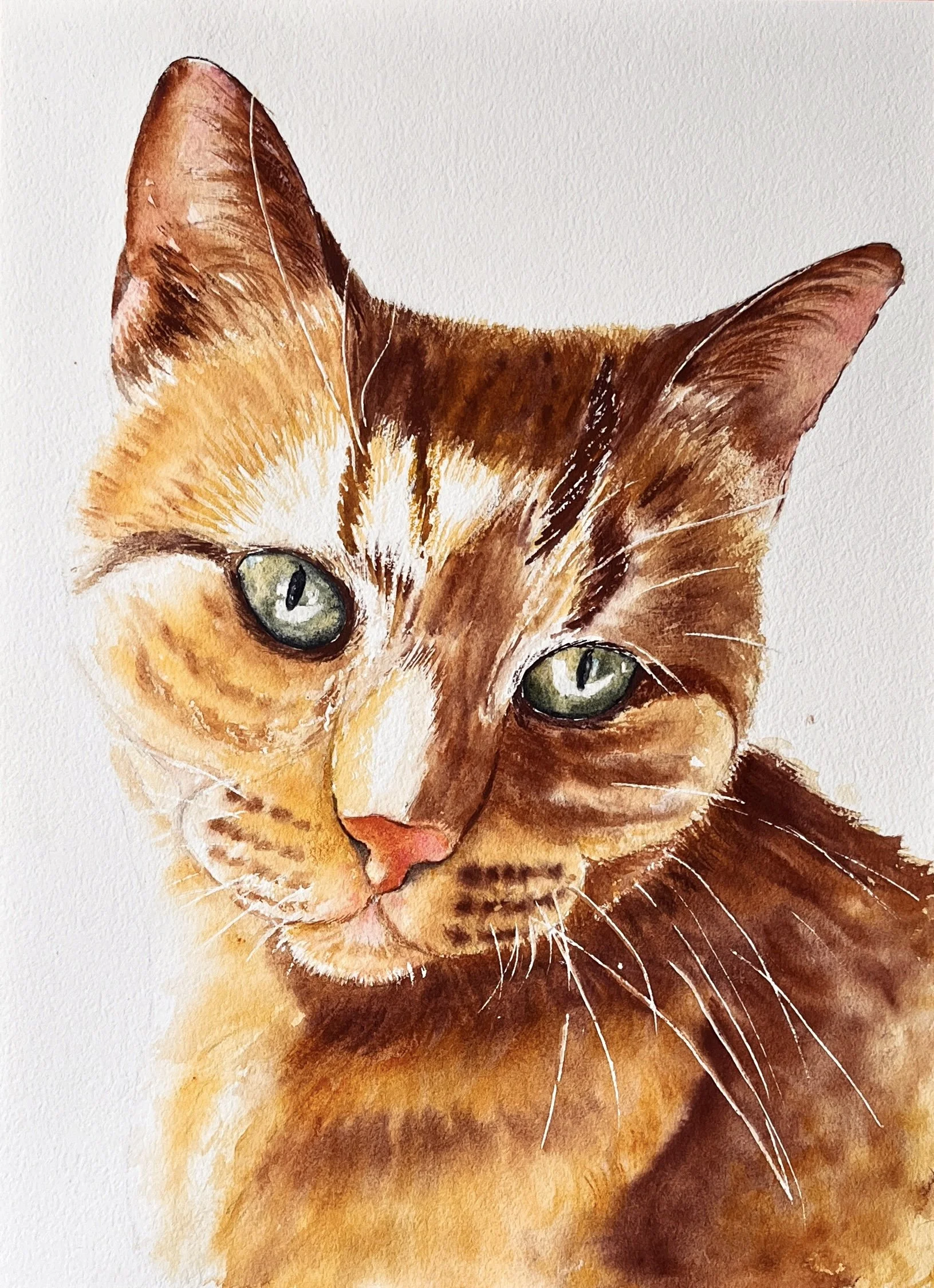 Close-up watercolor painting of a ginger cat's face, showing its green eyes and detailed fur.