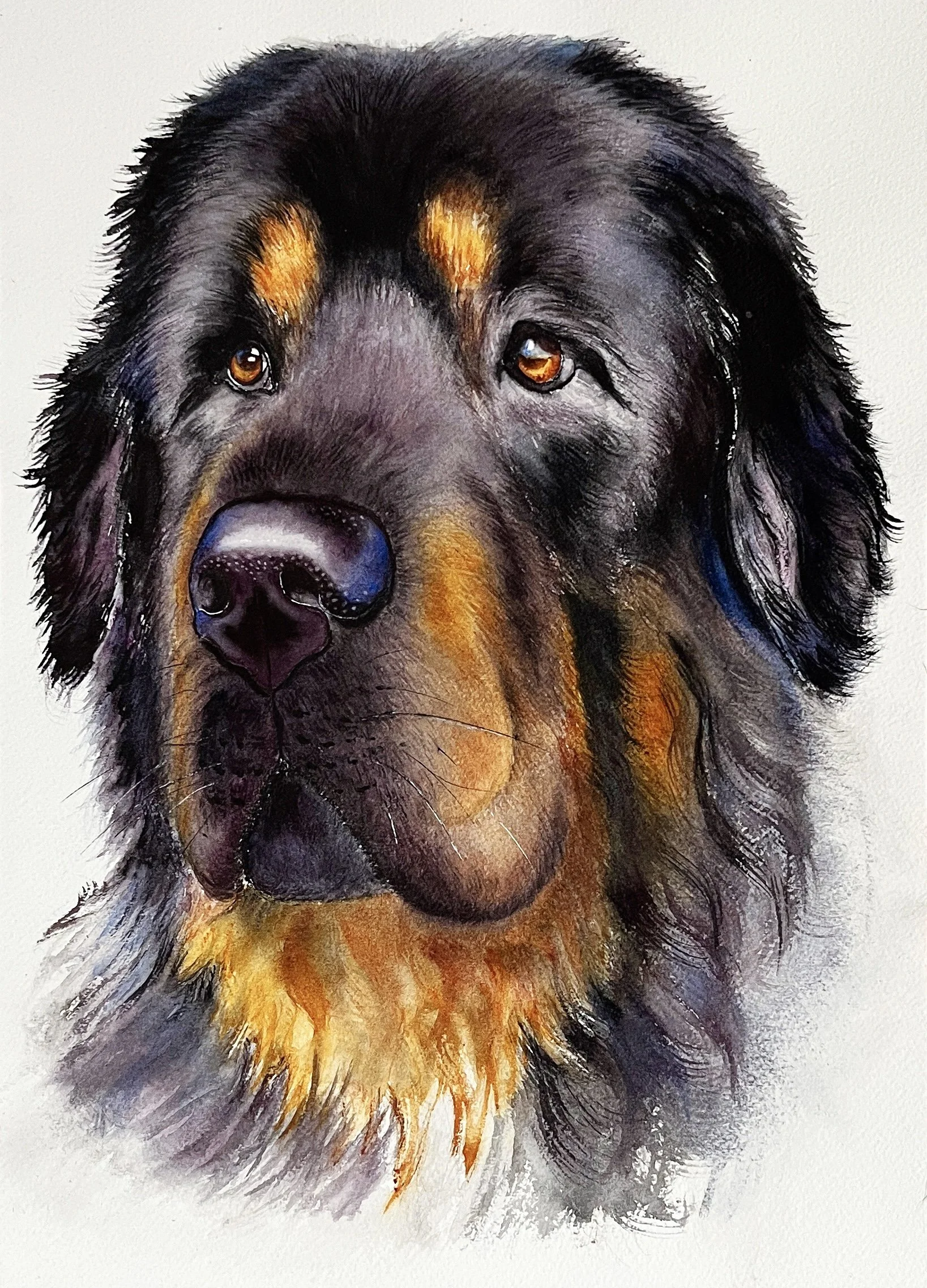 Watercolor painting of a Rottweiler dog with black, tan, and brown fur, expressive eyes, and a realistic depiction of its face.