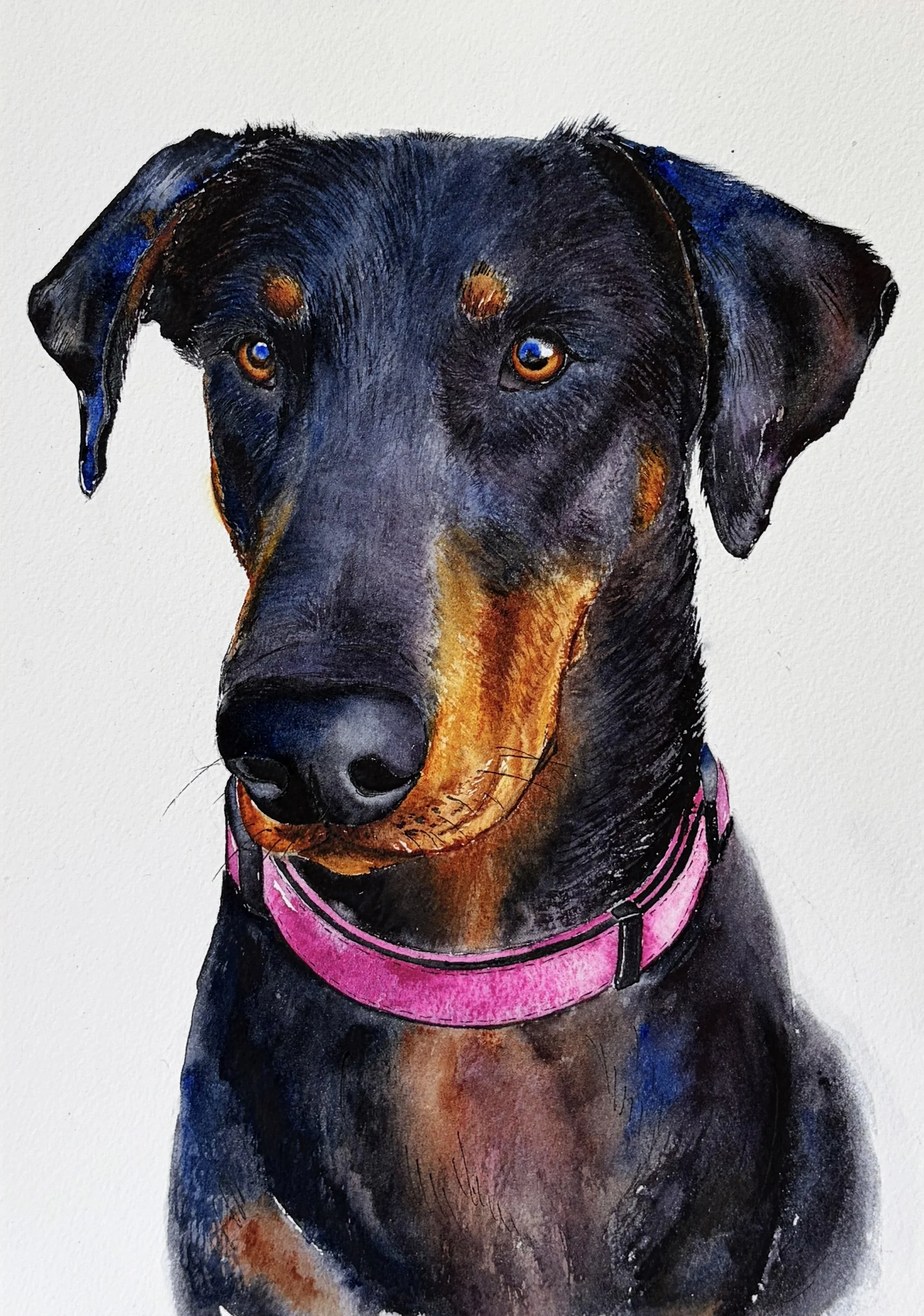Watercolor painting of a black and tan dog with a pink collar looking directly at the camera.