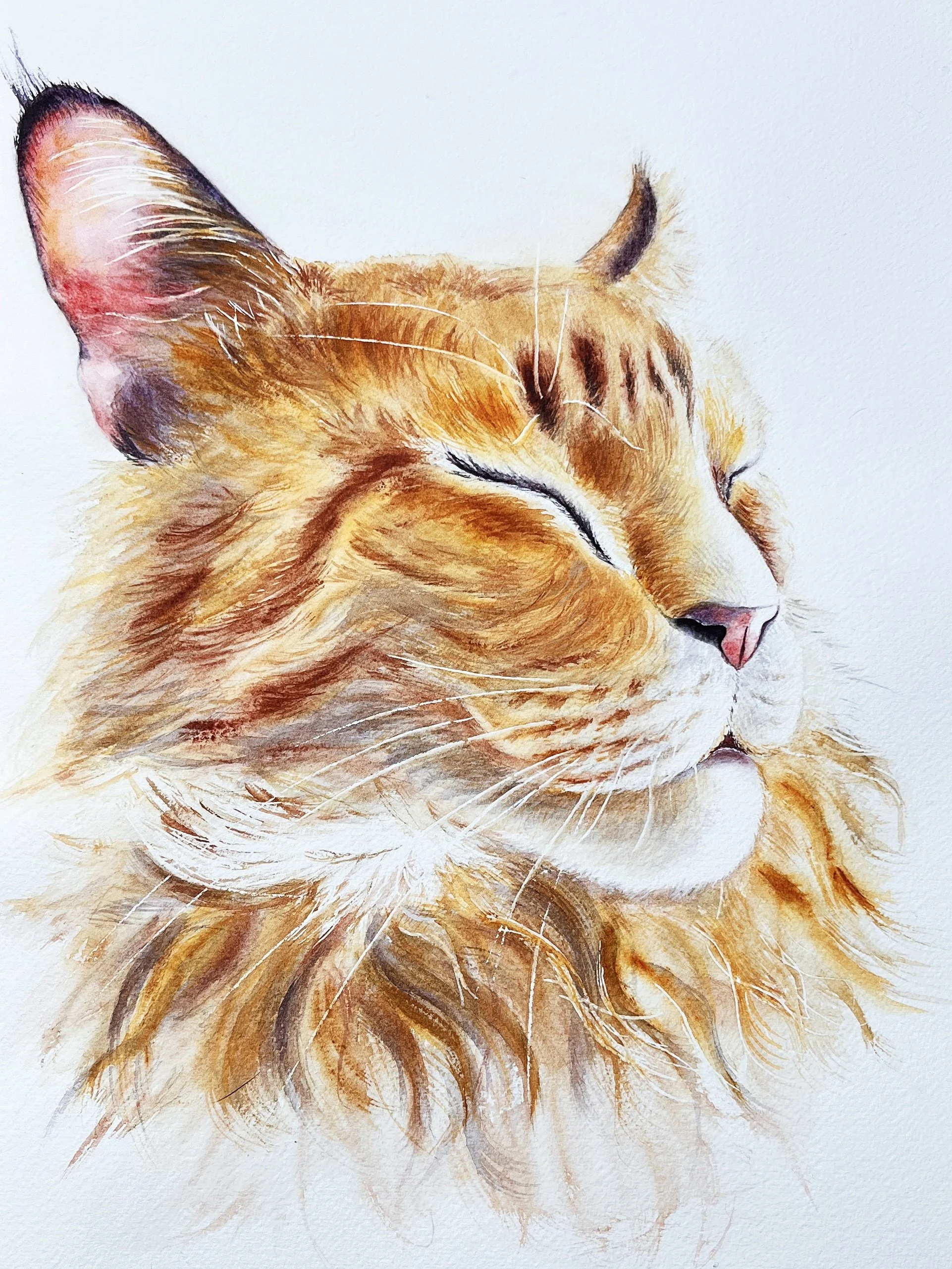 A watercolor painting of a sleeping cat with orange, white, and brown fur, closed eyes, and a calm expression.