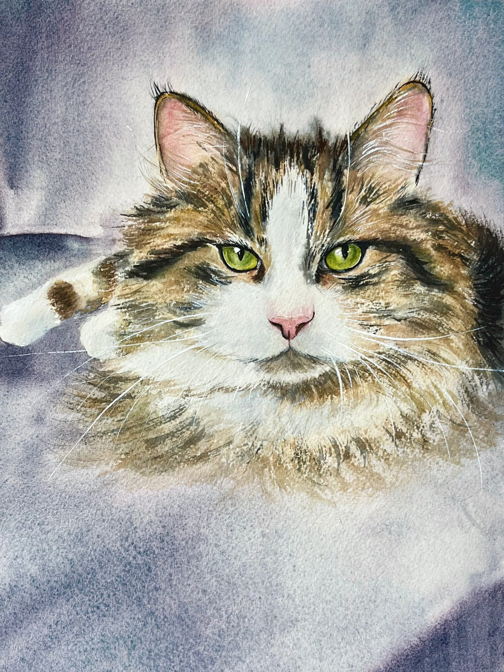 Close-up of a cat with green eyes, pink nose, and brown, black, and white fur, resting on a soft surface.
