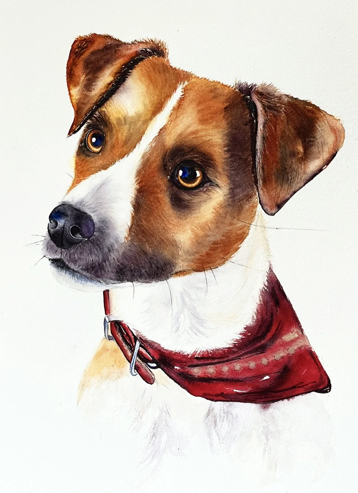 A realistic illustration of a mixed-breed dog with a white chest, brown head with darker markings, and wearing a red bandana around its neck, against a plain background.