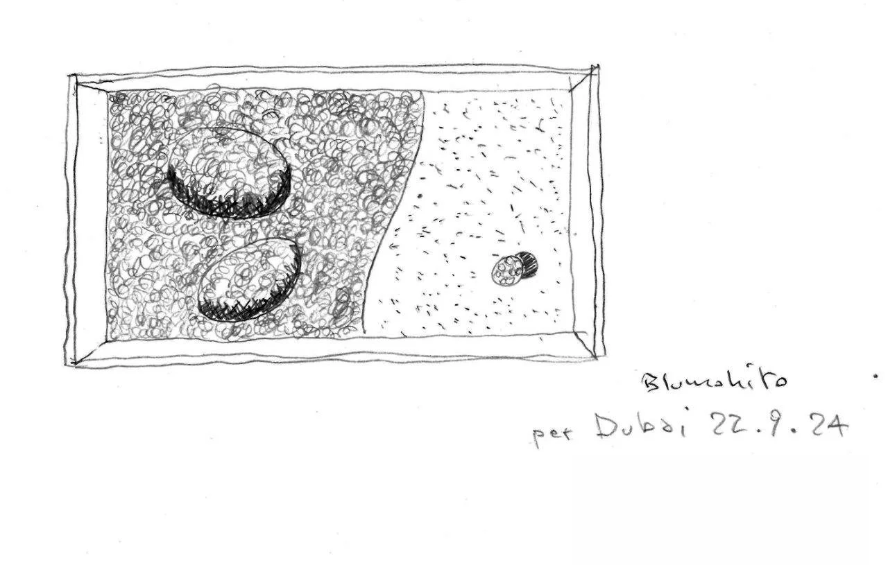 Schizzo di un acquario con due grandi pietre e una piccola palla, diviso in due sezioni con diverse decorazioni, accompagnato da una nota scritta a mano.