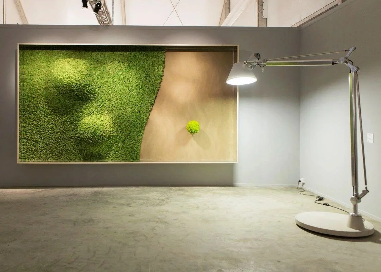 Opera d'arte moderna con una grande cornice che racchiude una composizione di strutture e piante verdi, illuminata da una lampada da terra con braccio articolato.