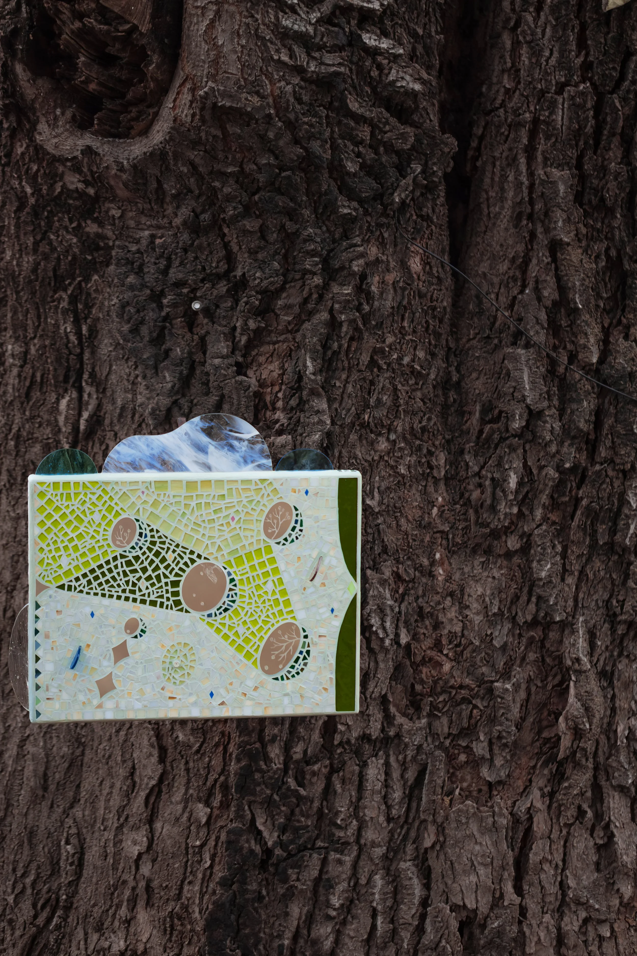 Light in Pieces No.01.jpg