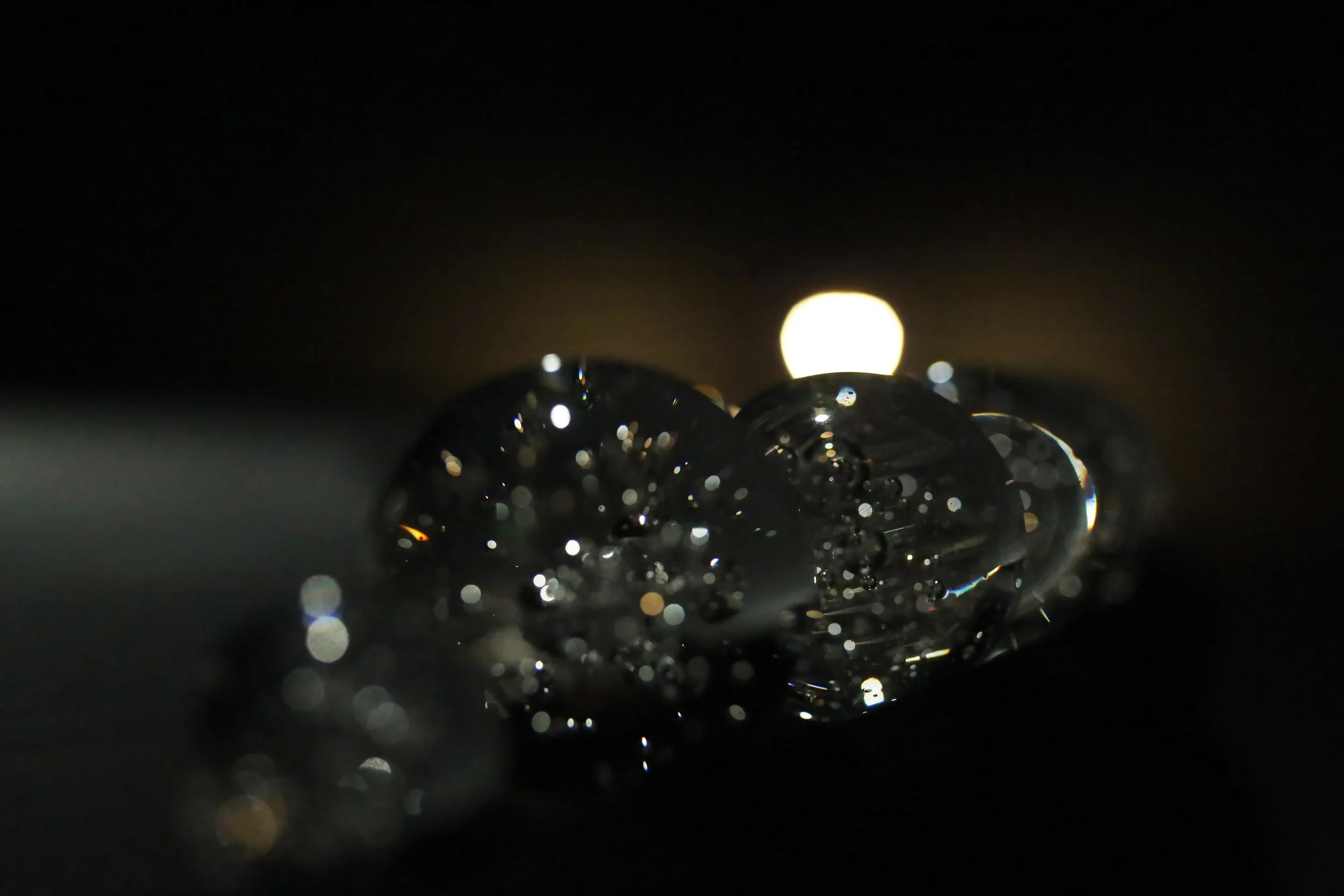 PL6A0115.jpg