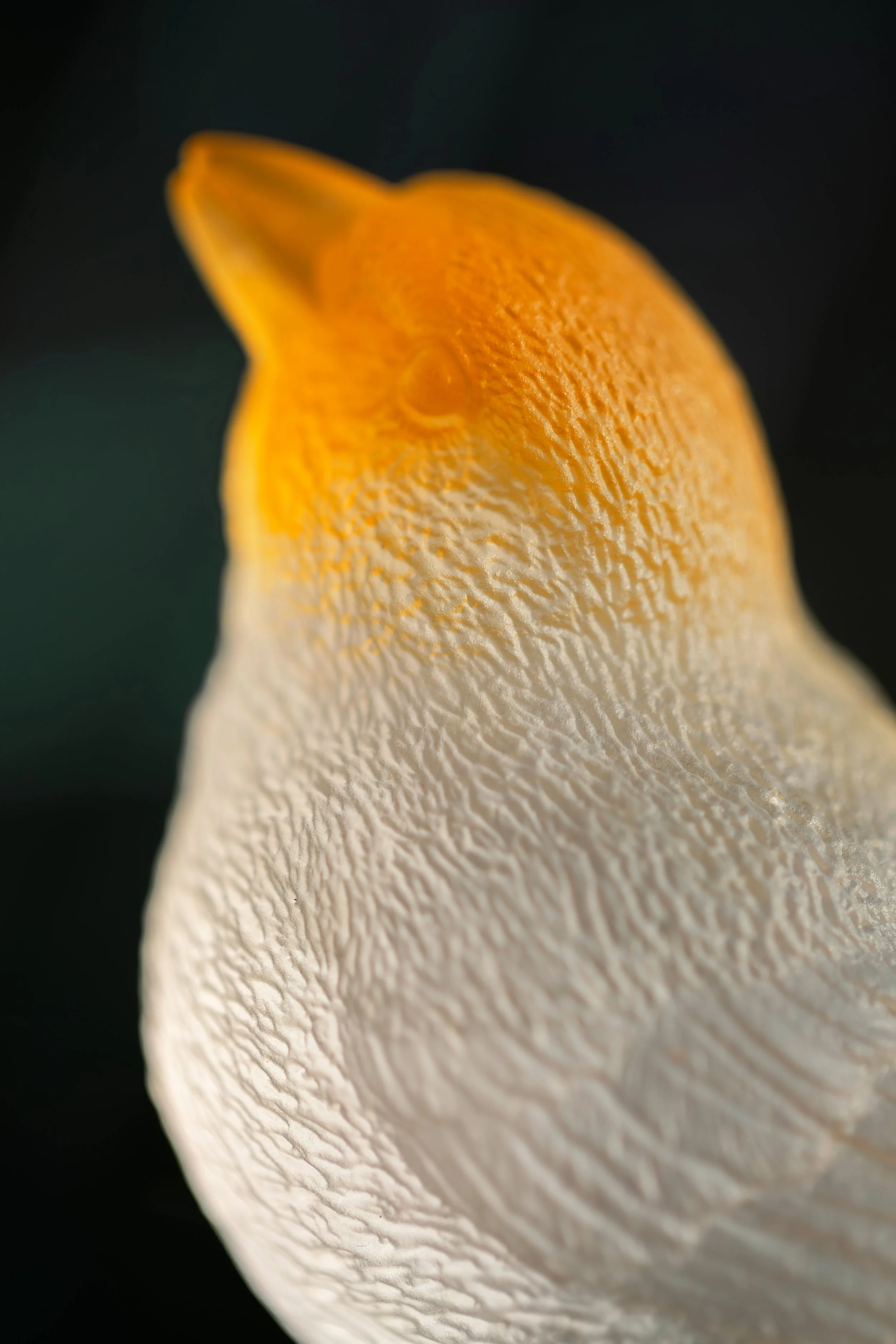 Only the Birds Know_detail02.jpg
