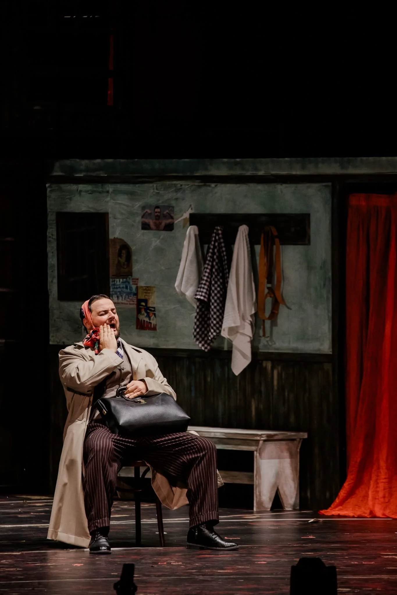 Andrei Petre in D'ale Carnavalului at the National Bucharest Opera.