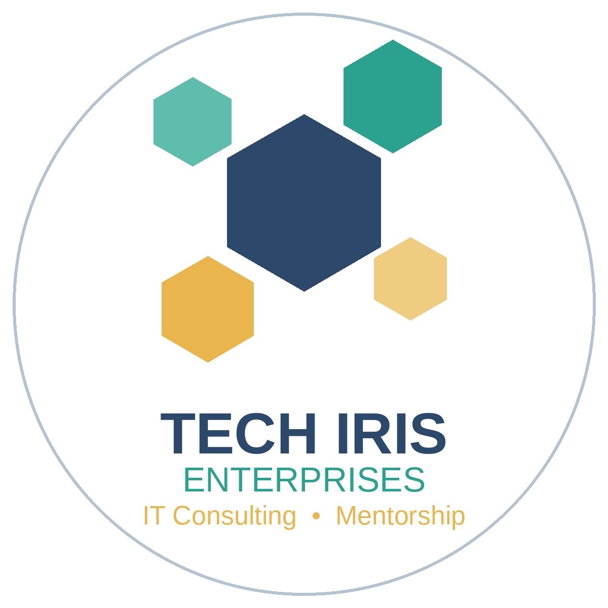 Project Management Consulting &amp; Mentorship