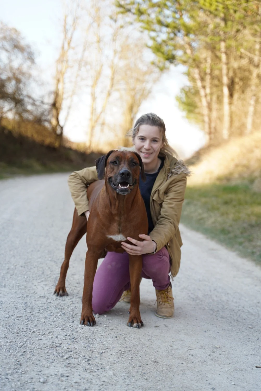 Photos d'entreprise pour un élevage de Rhodesian Ridgeback. Par Viviane Eyer, Photographe dans le Grand Est.