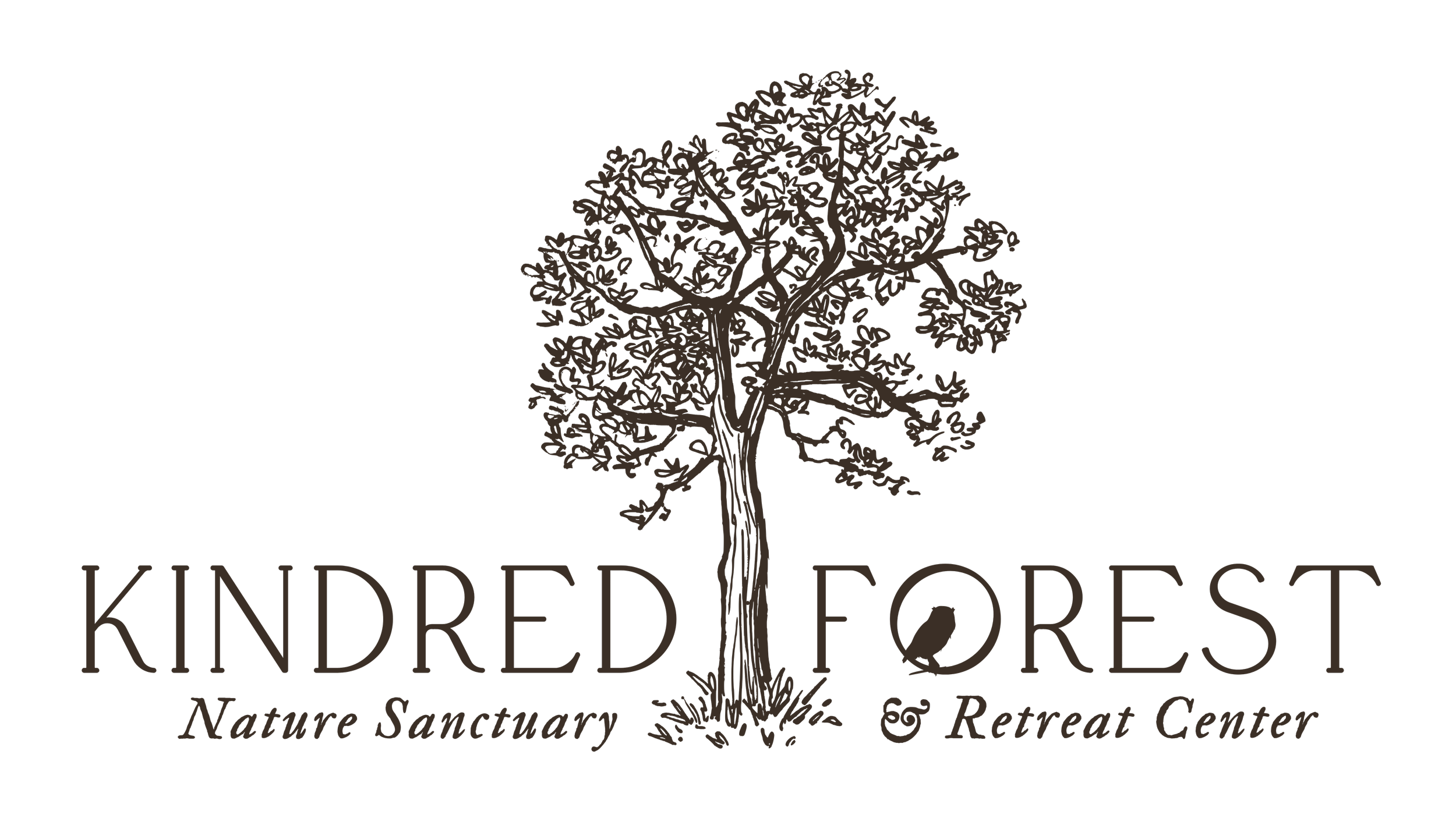 Logo for Kindred Forest Nature Sanctuary & Retreat Center featuring a stylized tree and the name in elegant text.