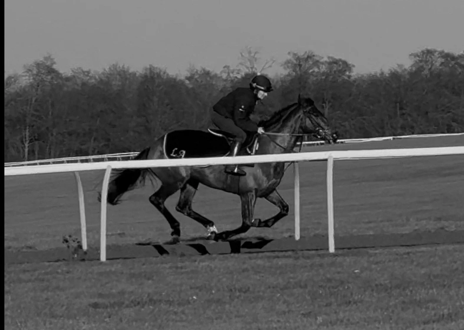 A jockey riding a horse on a racetrack, with trees in the background, in black and white.
