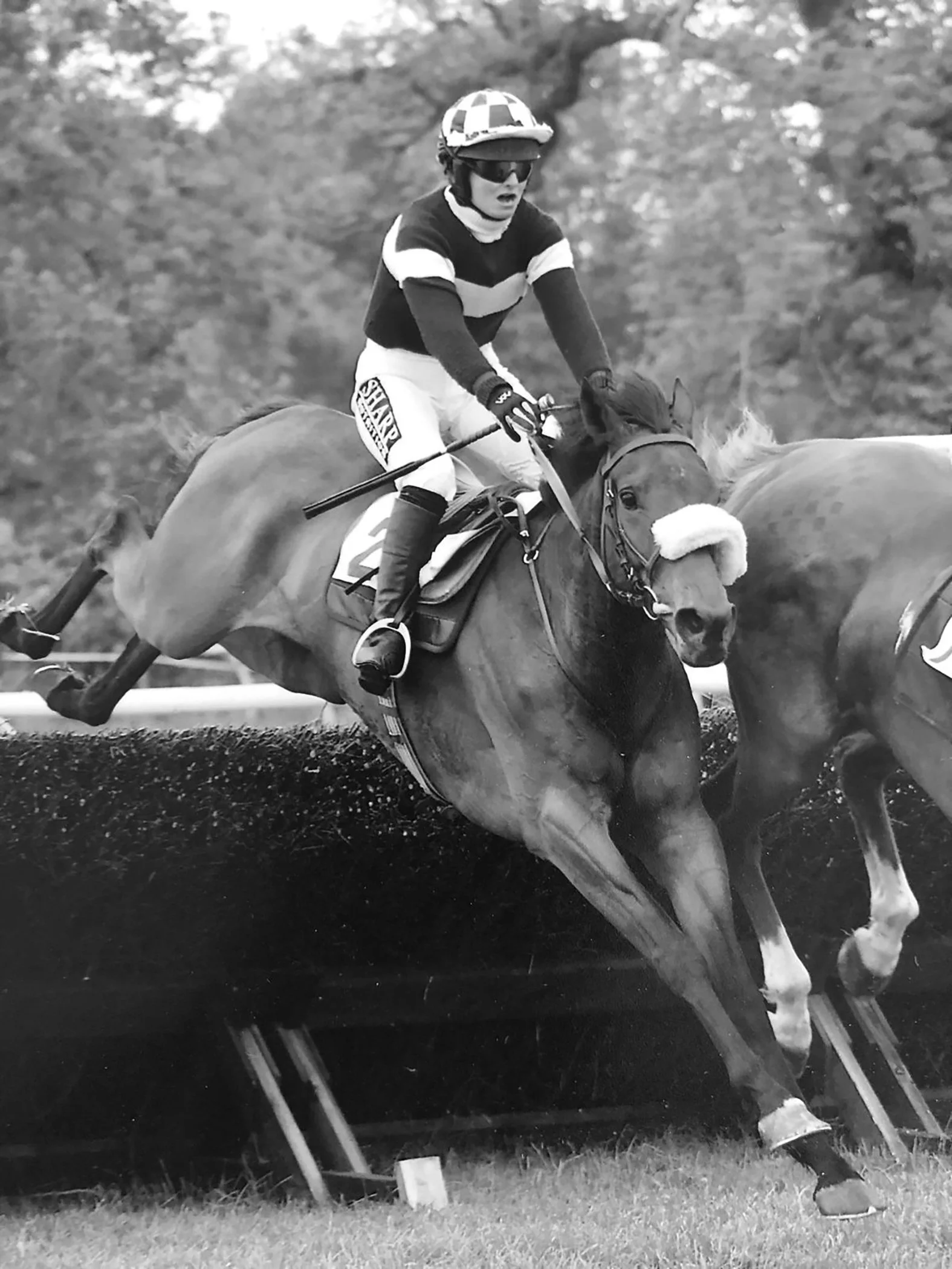 A female horse rider in competition gear jumps over a hurdle with her horse during a steeplechase event.