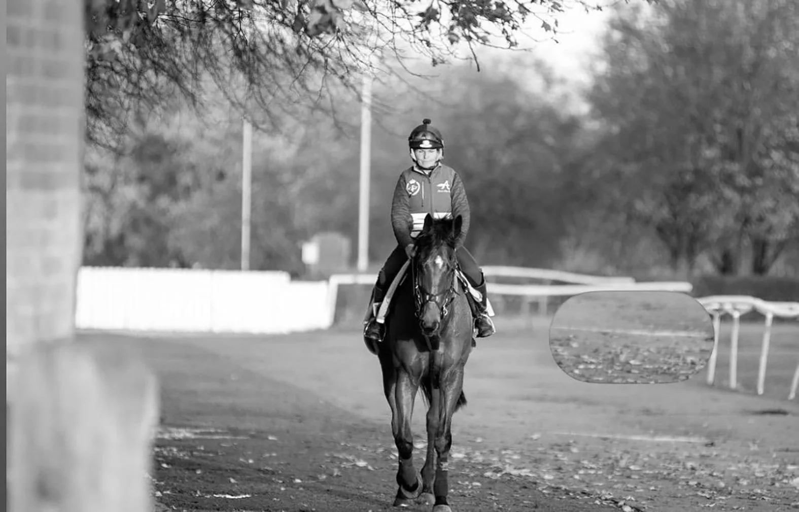 A young equestrian rider in riding gear and helmet riding a horse on a racetrack or training area with trees and fencing in the background.