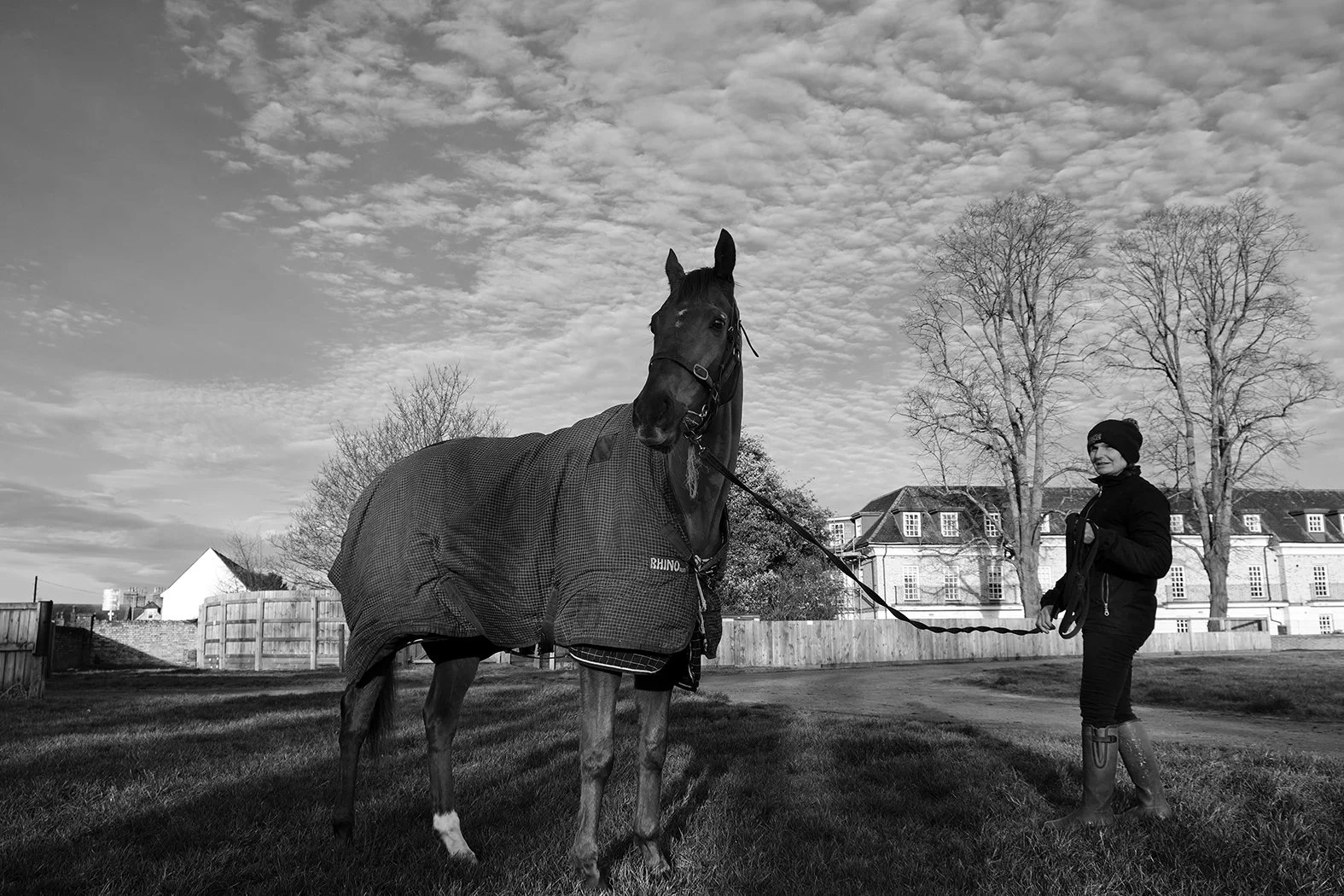 A person standing on grass holding a lead rope attached to a horse wearing a blanket. The person is dressed in dark clothing and boots, with a hat. The background includes leafless trees, a wooden fence, and residential buildings under a cloudy sky.