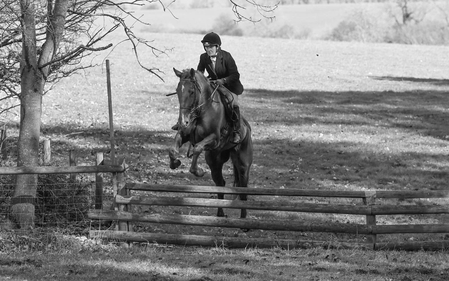 A person riding a horse over a wooden fence in a rural landscape, dressed in equestrian attire and a helmet.