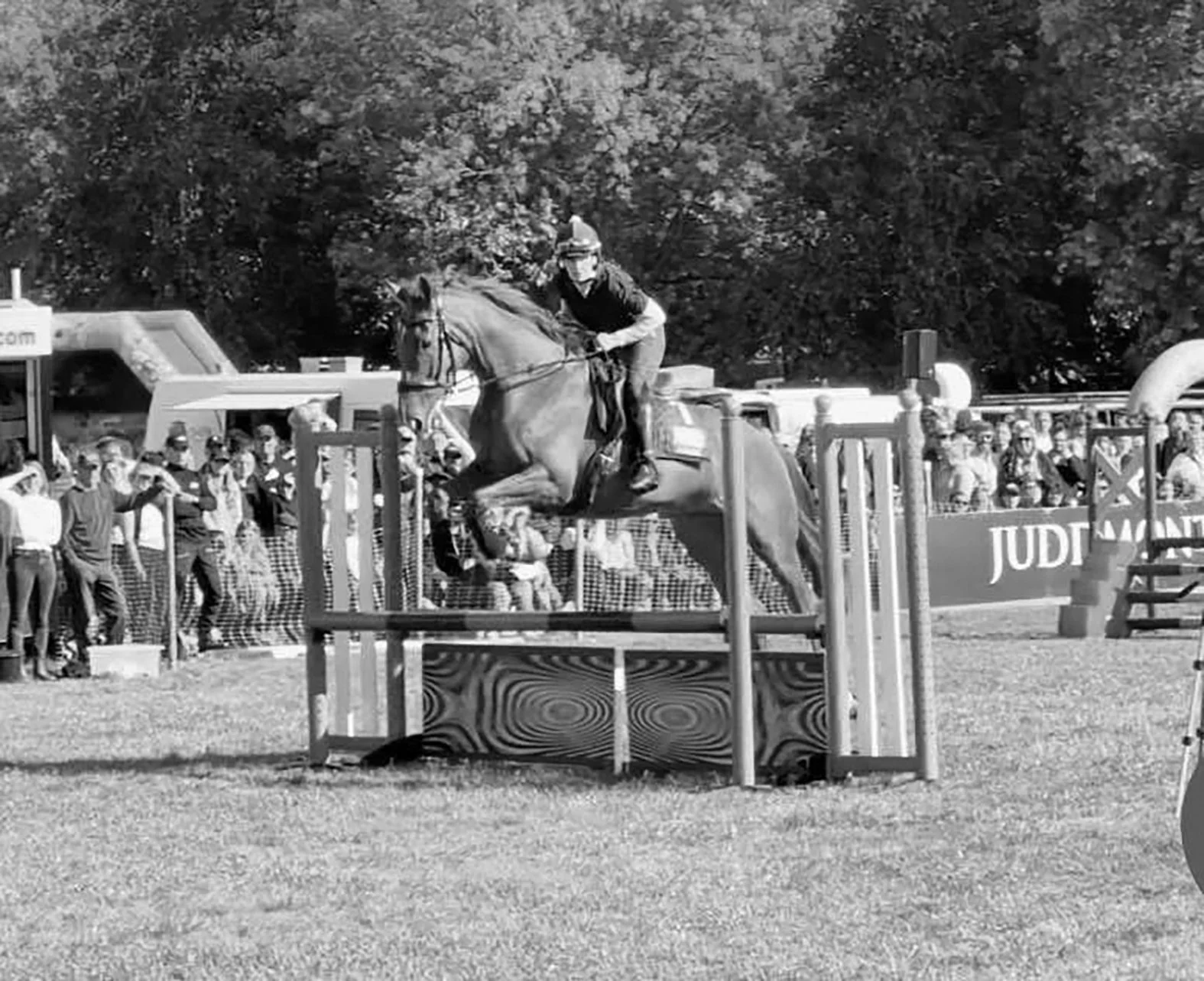 A person riding a horse and jumping over an obstacle during a show jumping competition at an outdoor event, with spectators watching in the background.