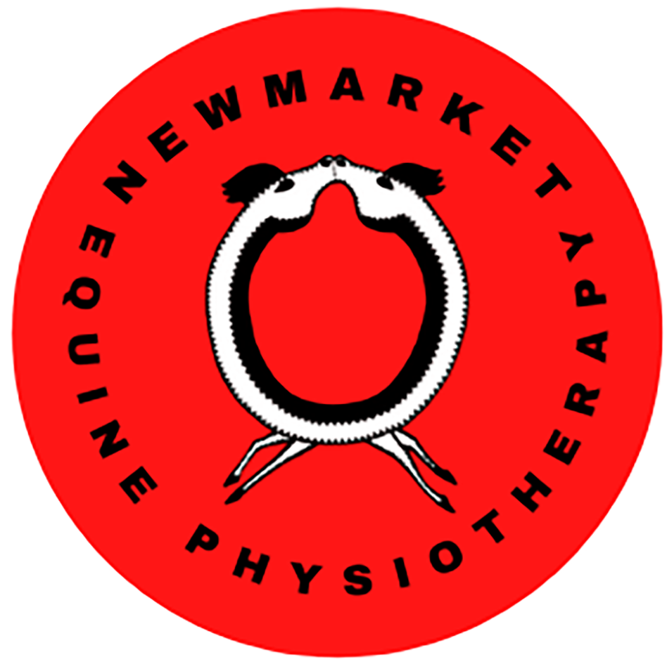 A red circular logo with a stylized bird and the words 'New Market' and 'Physiotherapy' around it.