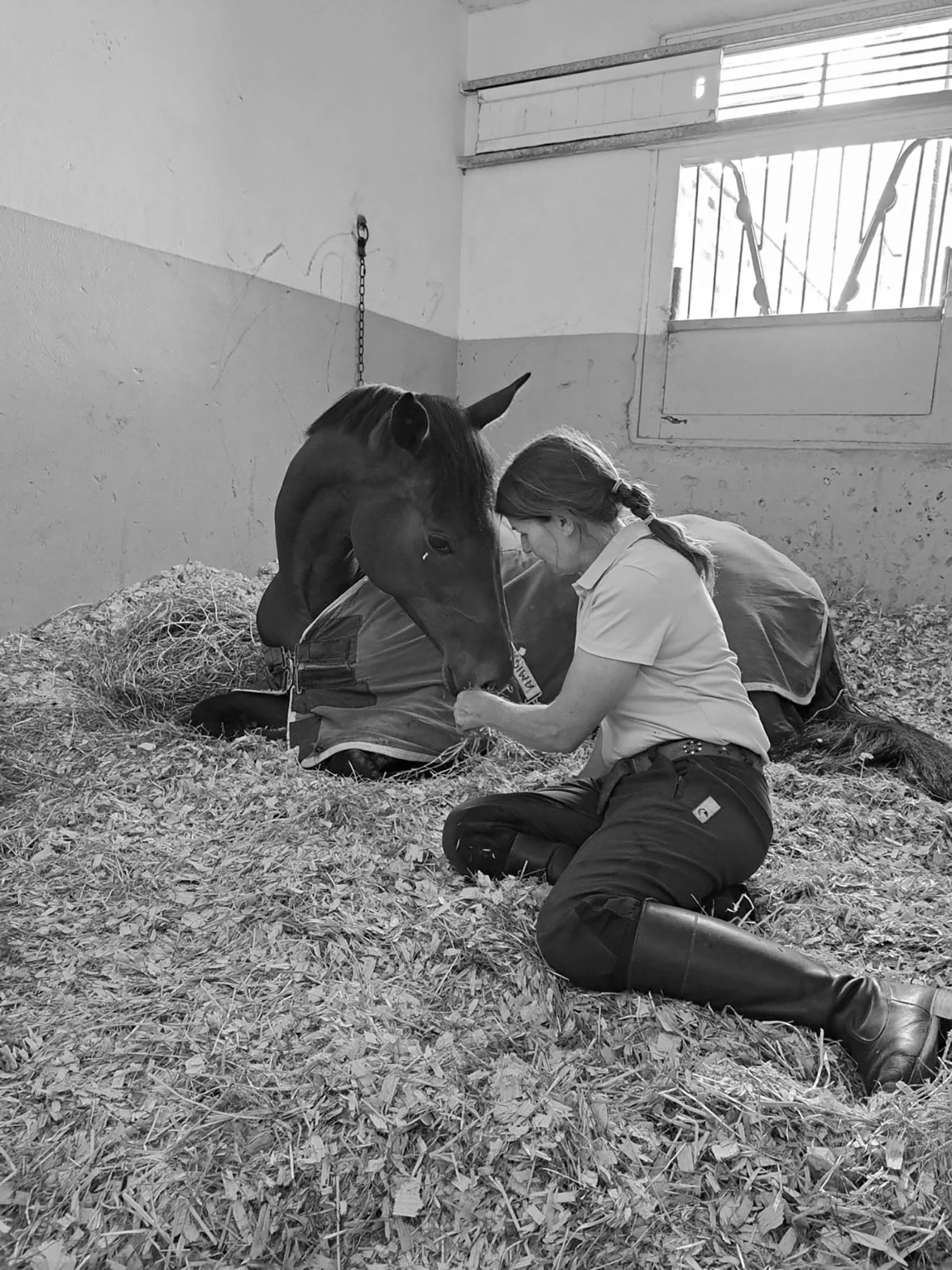 A woman kneeling on the ground next to a resting horse inside a stable, holding the horse's hoof.