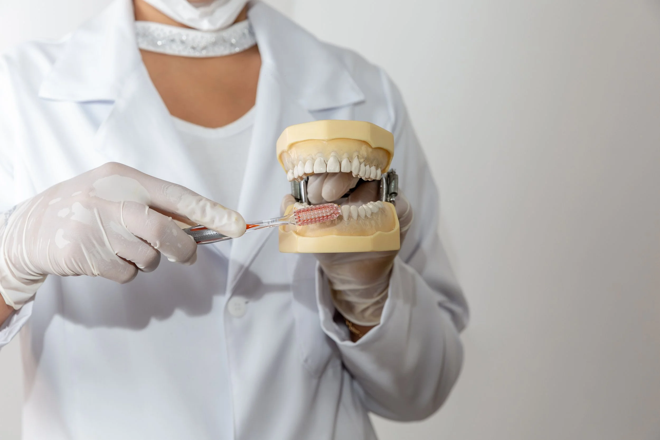 A healthcare professional in a white coat and gloves holding a dental model and applying a dental mold or adhesive to the model's lower teeth.