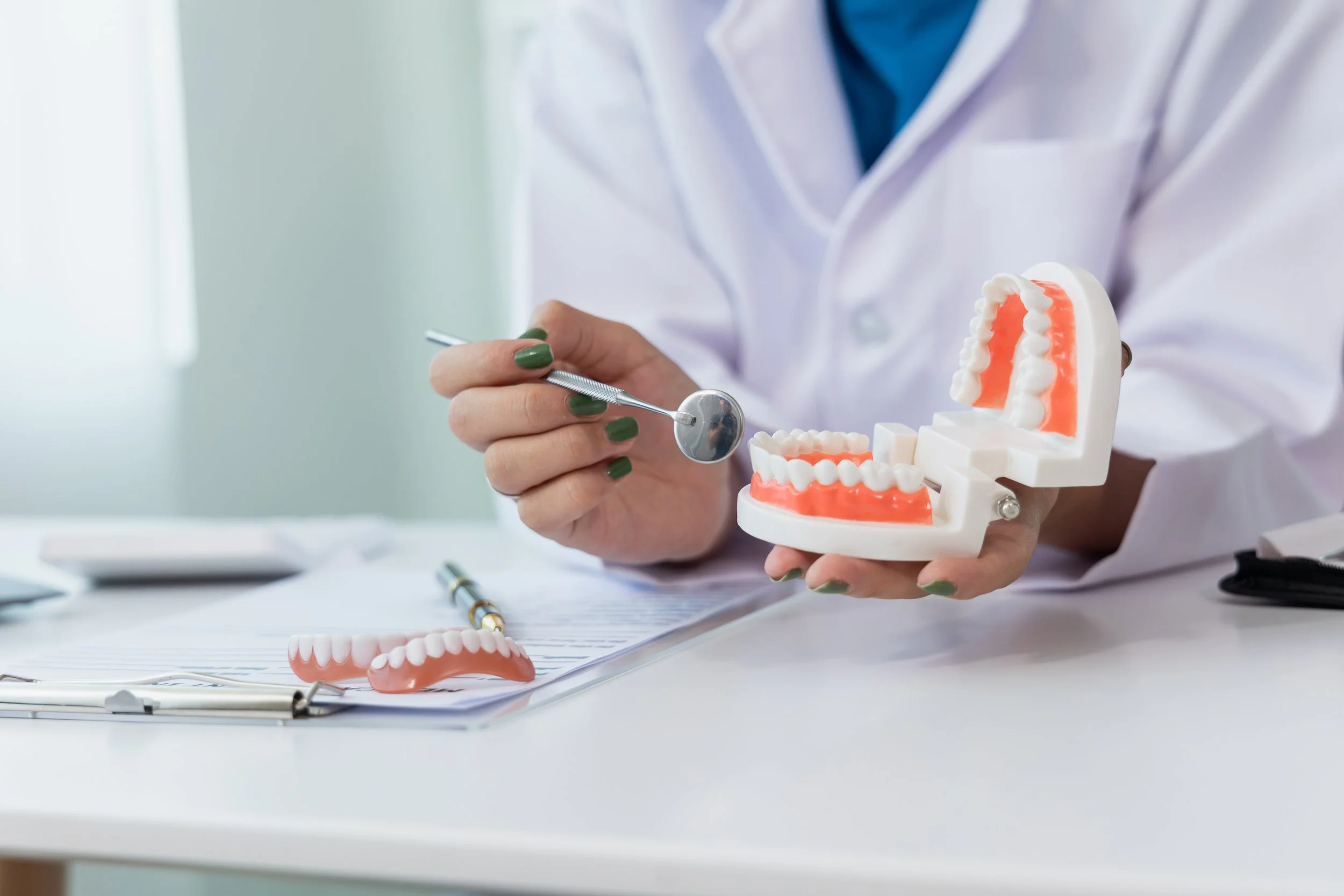 A dental holding a model of teeth and pointing to a tooth with a mirror