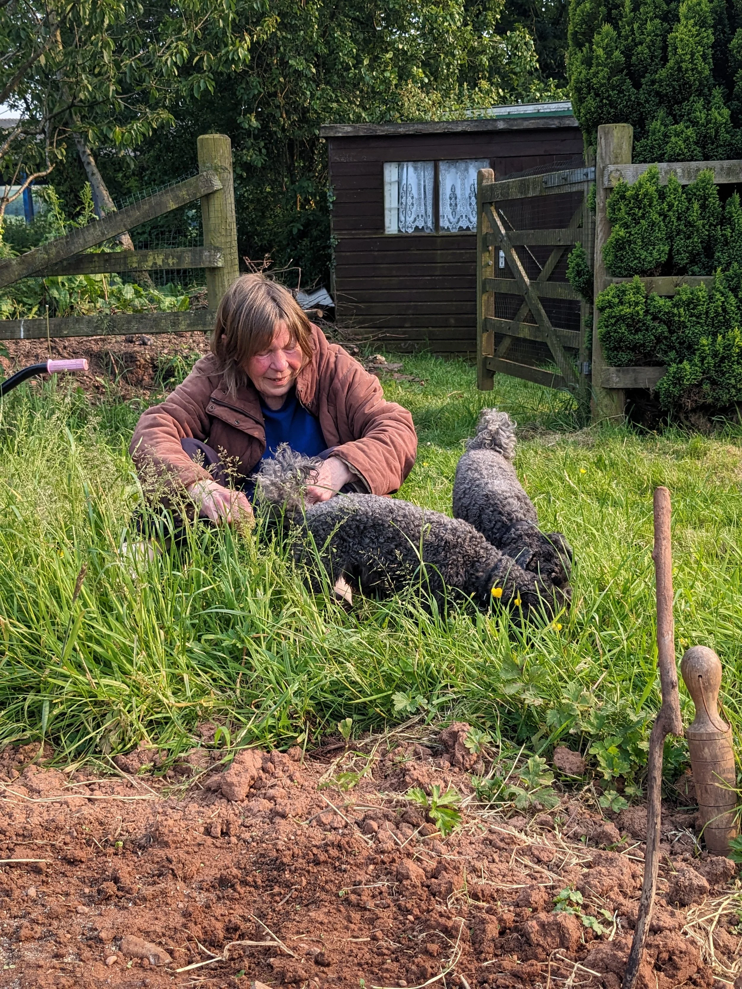 A woman with short brown hair wearing a brown jacket and blue shirt is sitting on the grassy ground in a garden, petting two black poodles. There is a small garden shed, a wooden fence, and lush green trees and bushes in the background.