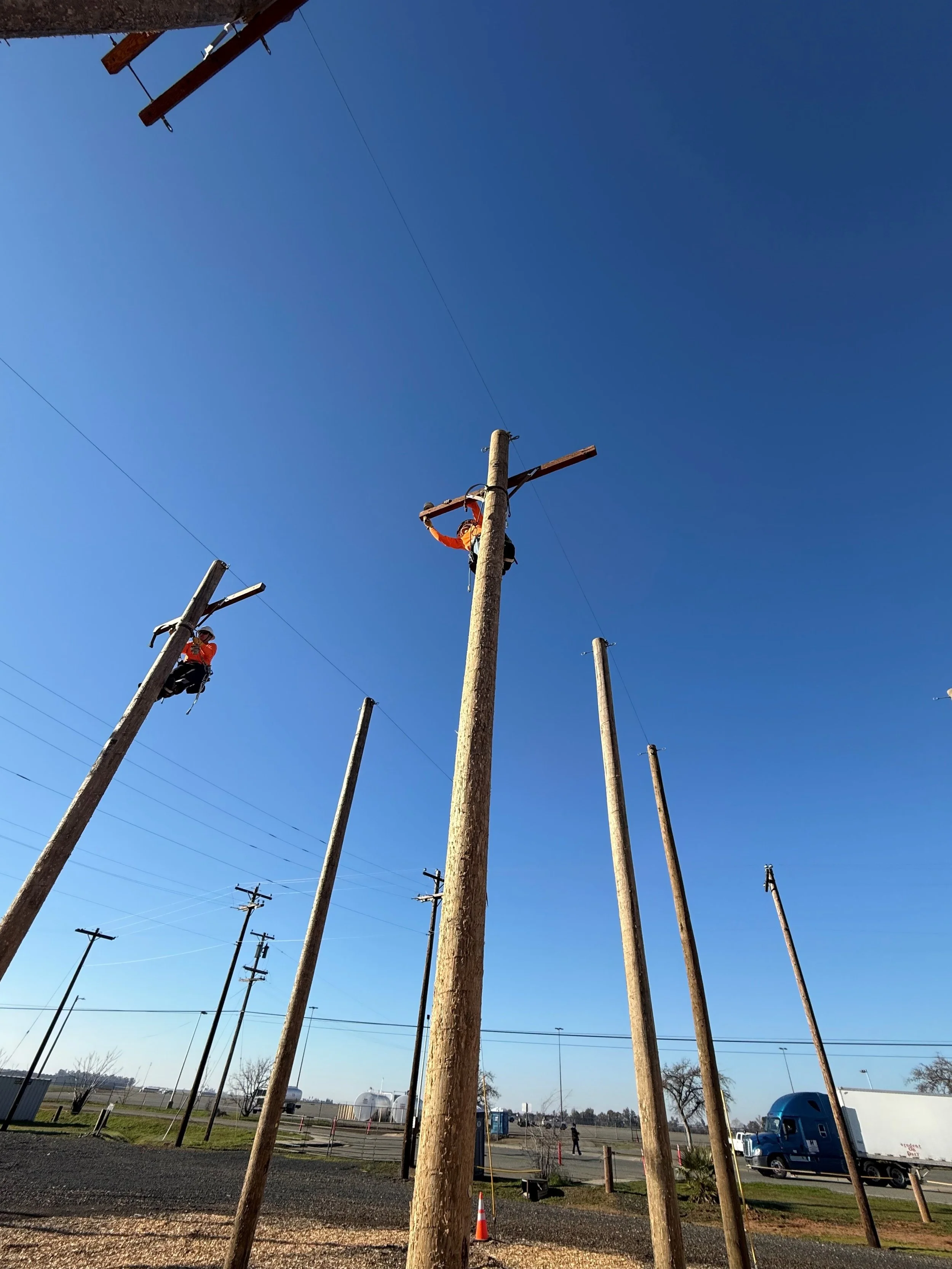 Workers in safety gear climbing and repairing utility poles on a clear day with a blue sky.