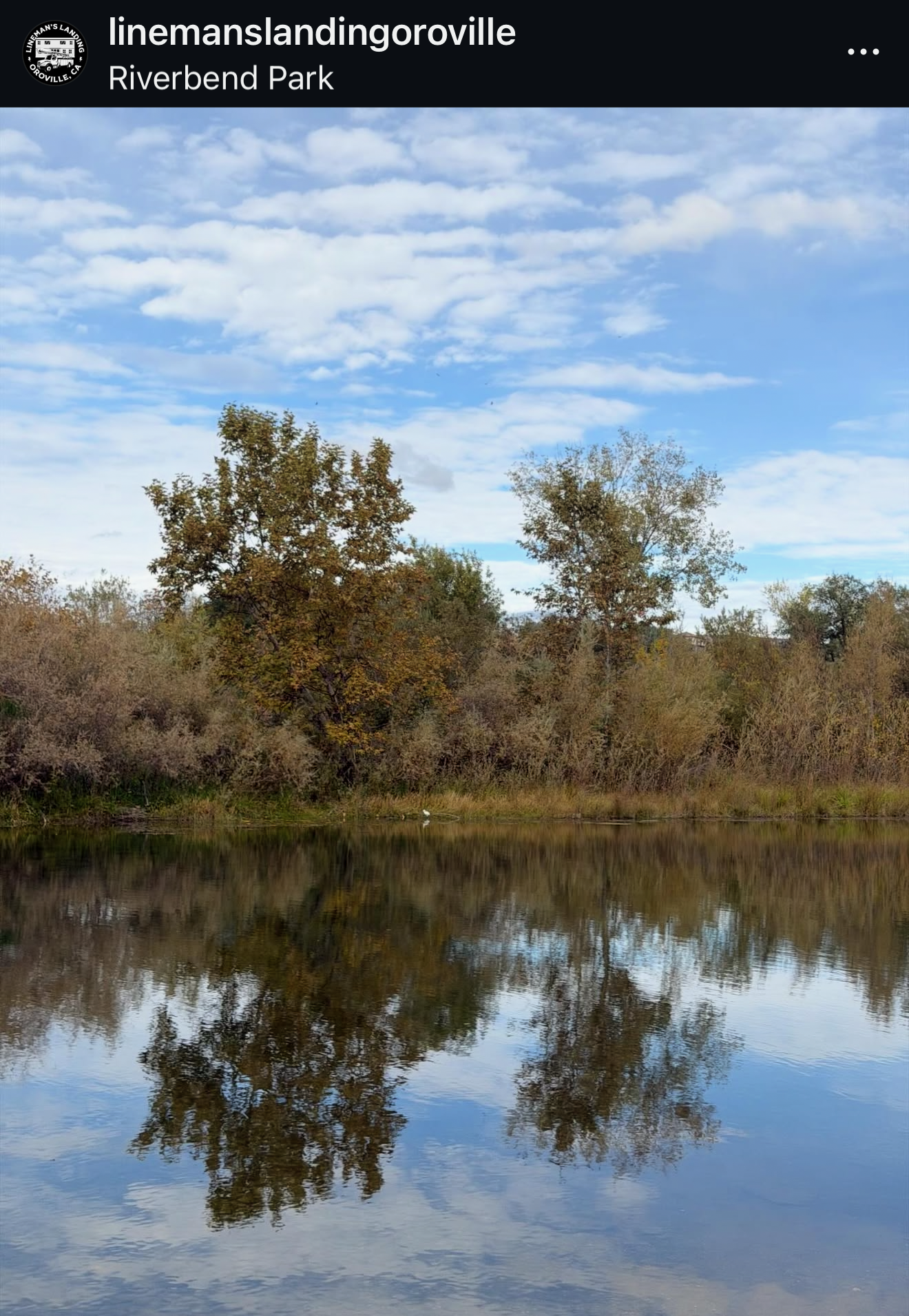 A calm lake reflecting trees and a partly cloudy sky at Riverbend Park, with bushes along the shoreline.