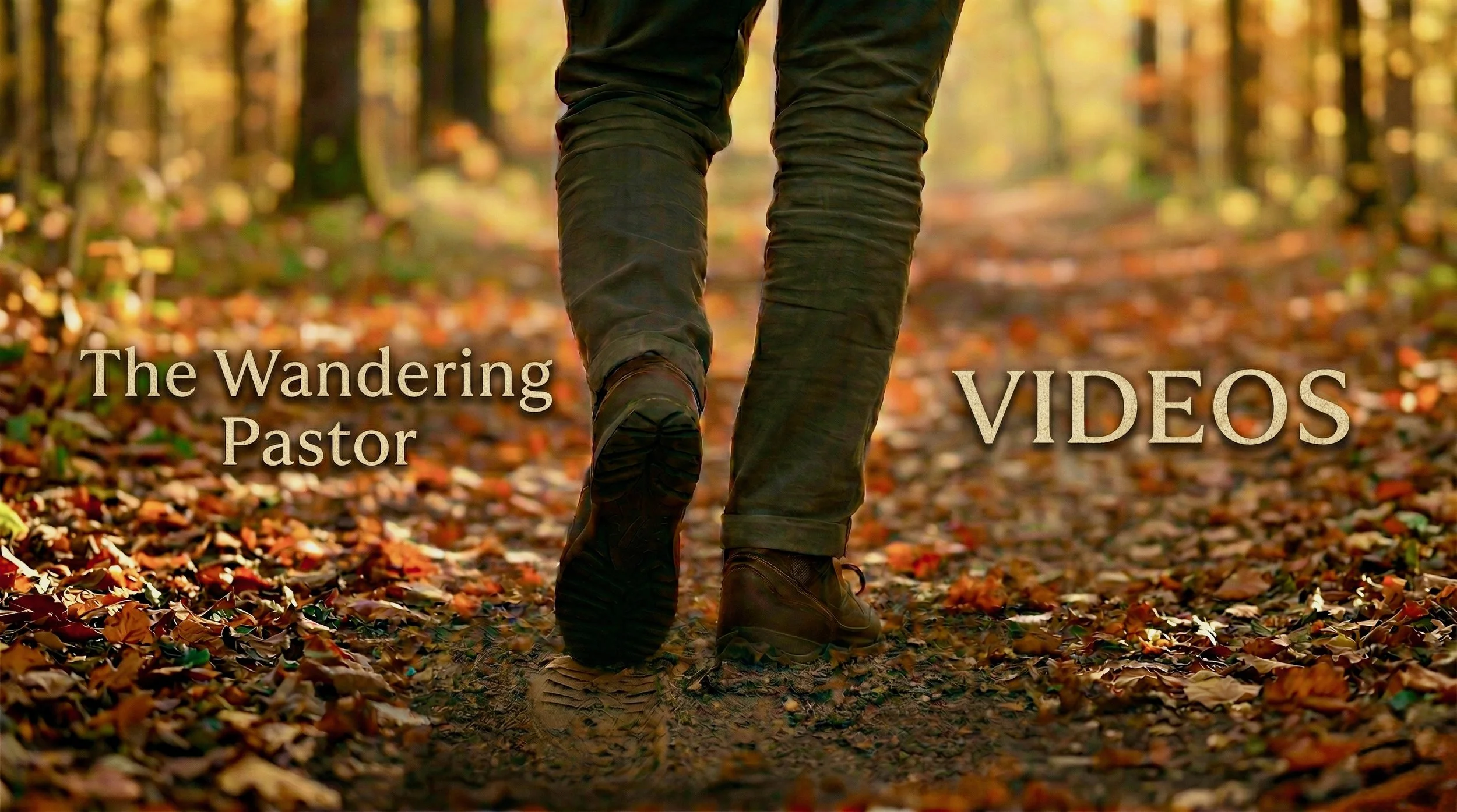 Videos