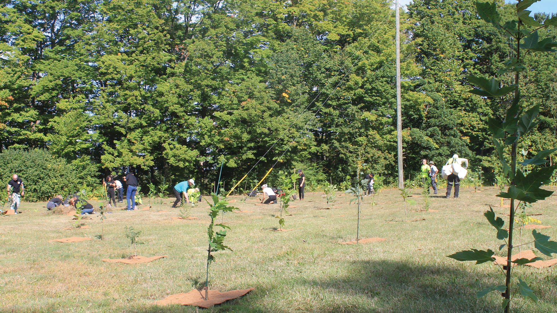 Earth Week Celebration - Community Tree Planting (Afternoon)
