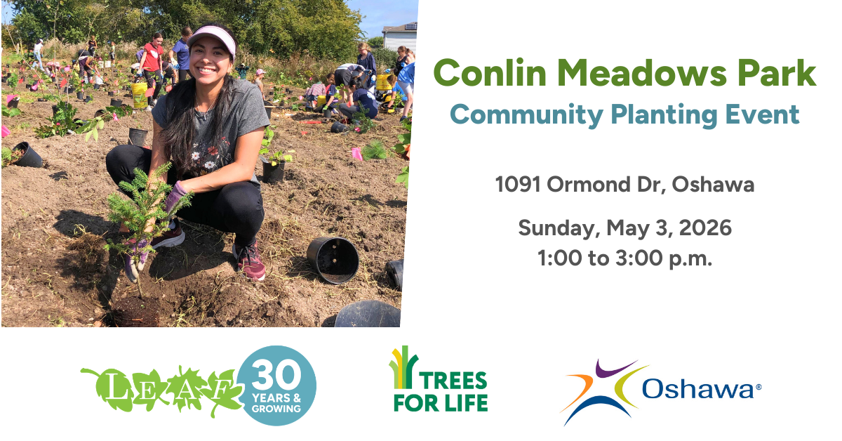Community Tree Planting Event with LEAF - Oshawa