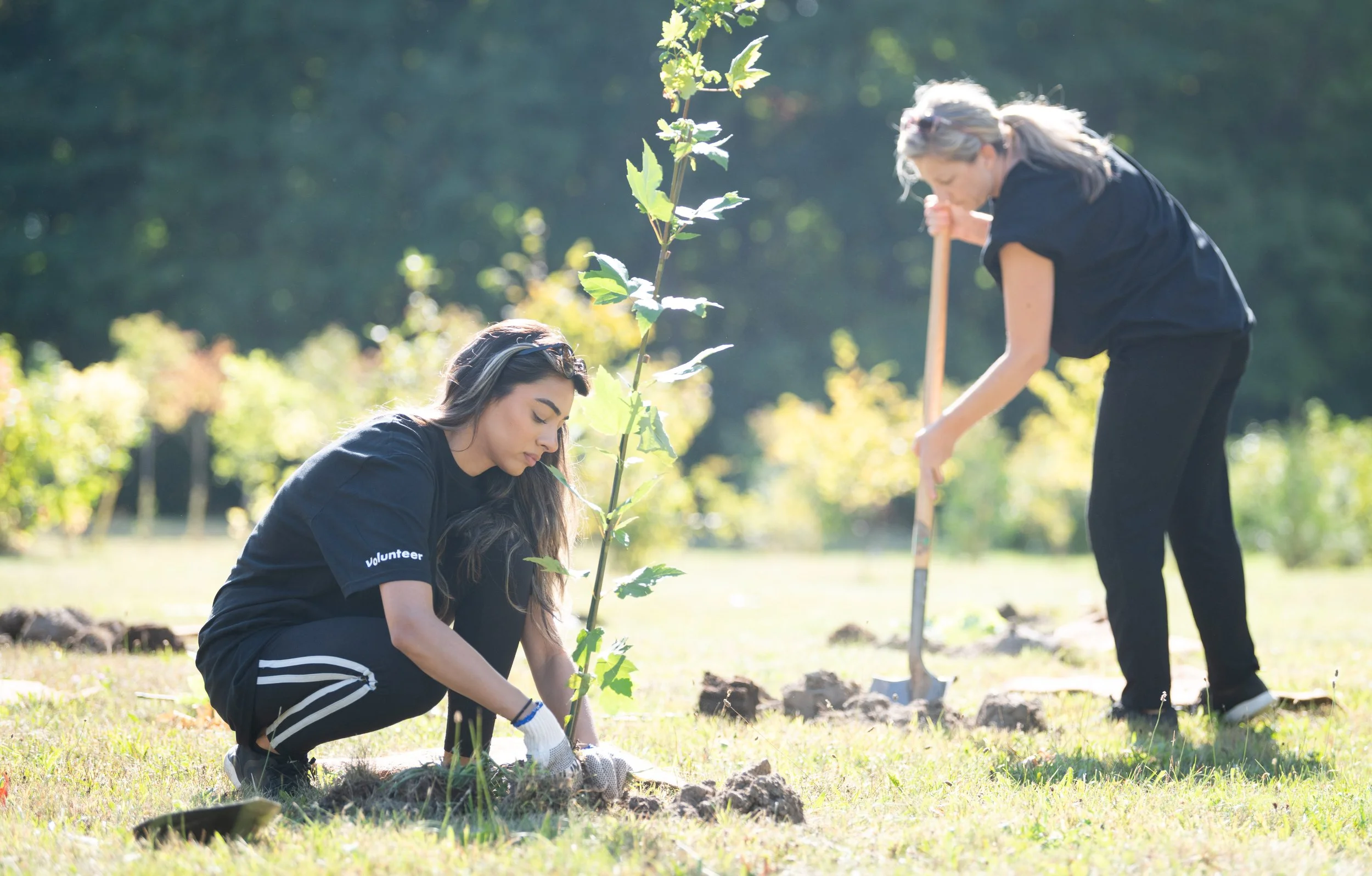 Community Tree Planting (Morning Event)