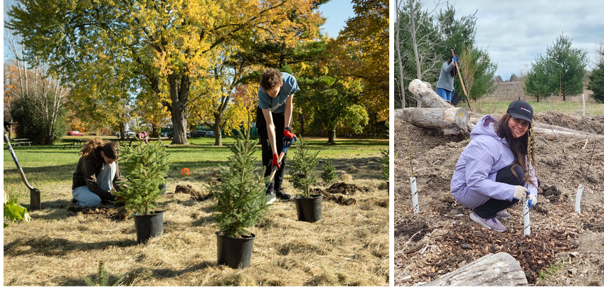 Trees for Life Launches Multi-Province&nbsp;Urban Greening Campaign to Help Cool Canadian Cities&nbsp;