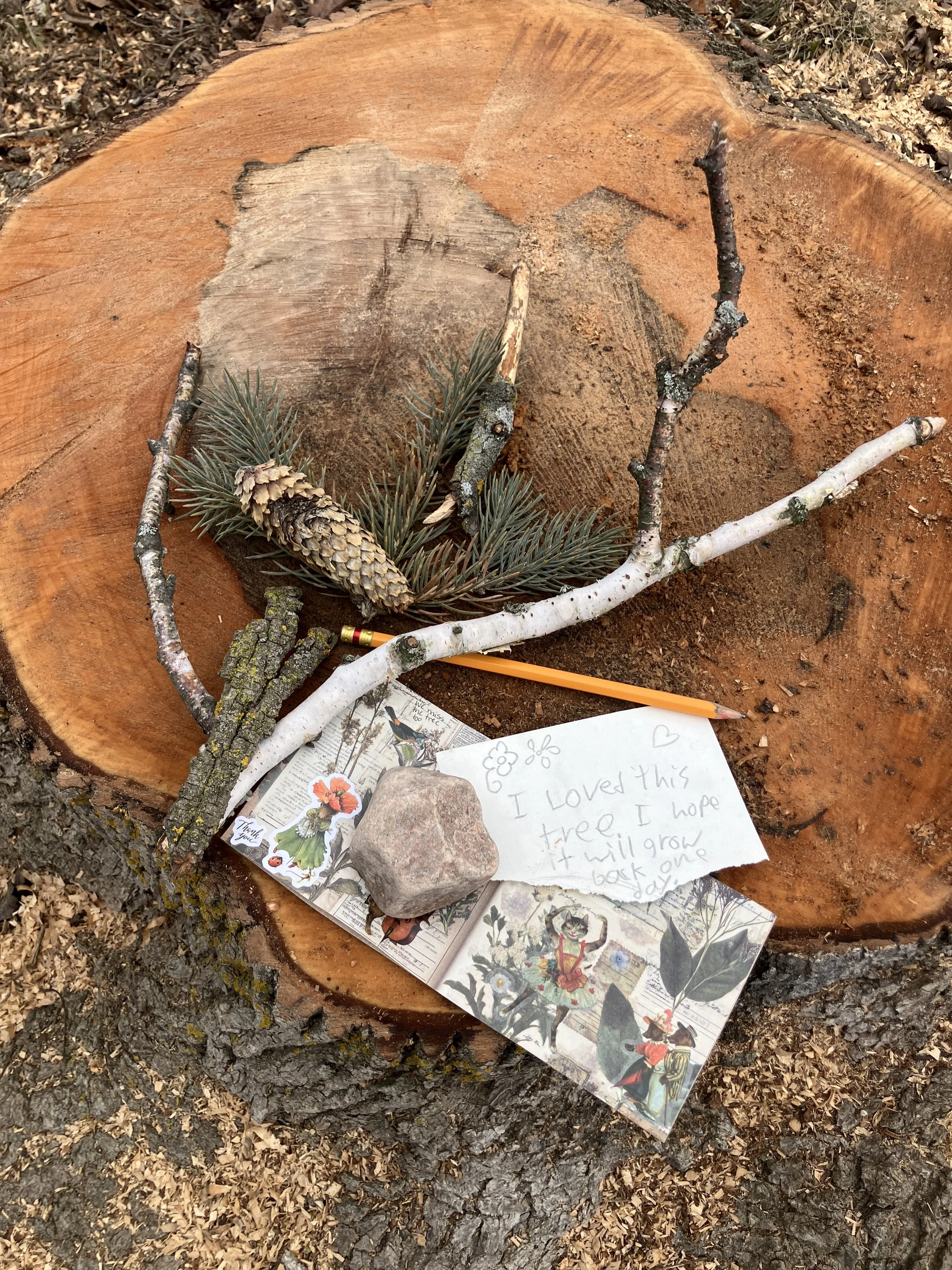 The Soul of the Urban Forest