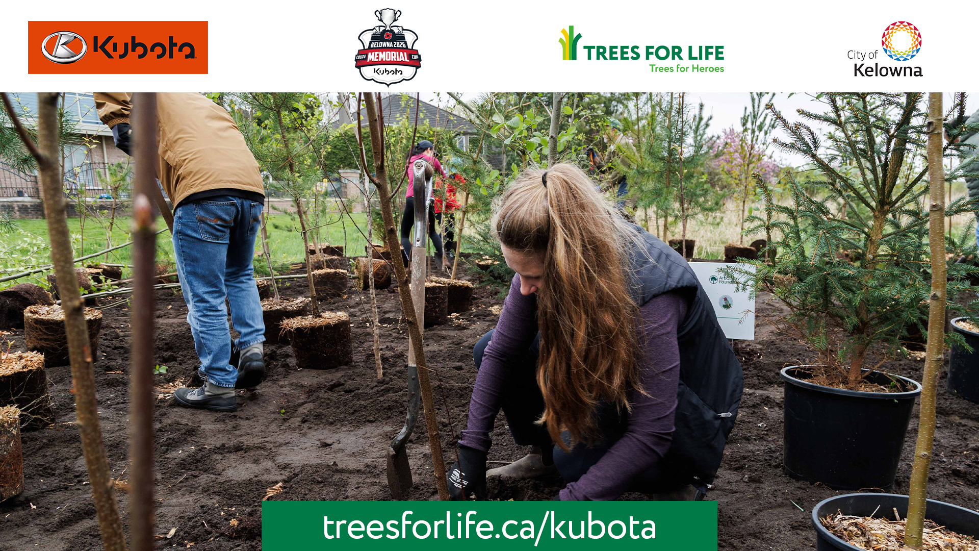 New Hero Forest In Kelowna Honours Veterans Through Memorial Cup LegacY