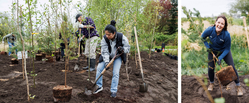 Trees for Life, Arbor Day Foundation, FIFA and the City of Toronto Join to Host Tree Planting Event Ahead of the FIFA World Cup 2026™&nbsp;