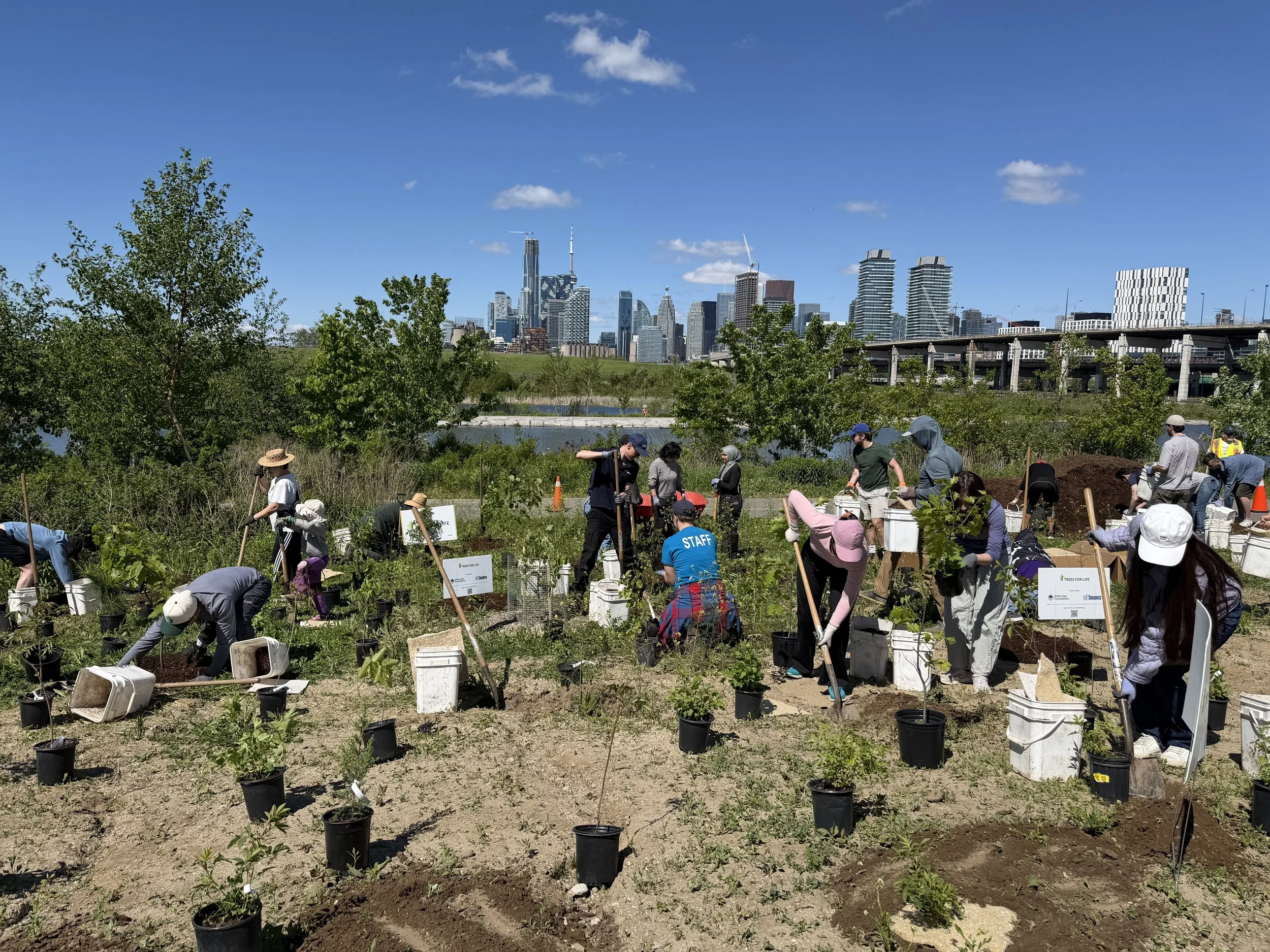 Biidaasige Park Tree Planting EVent 