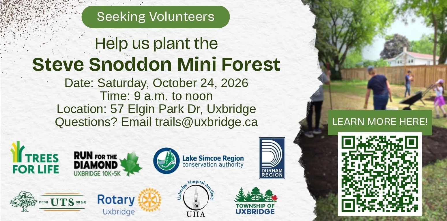 Steve Snoddon Mini Forest - Tree Planting Event
