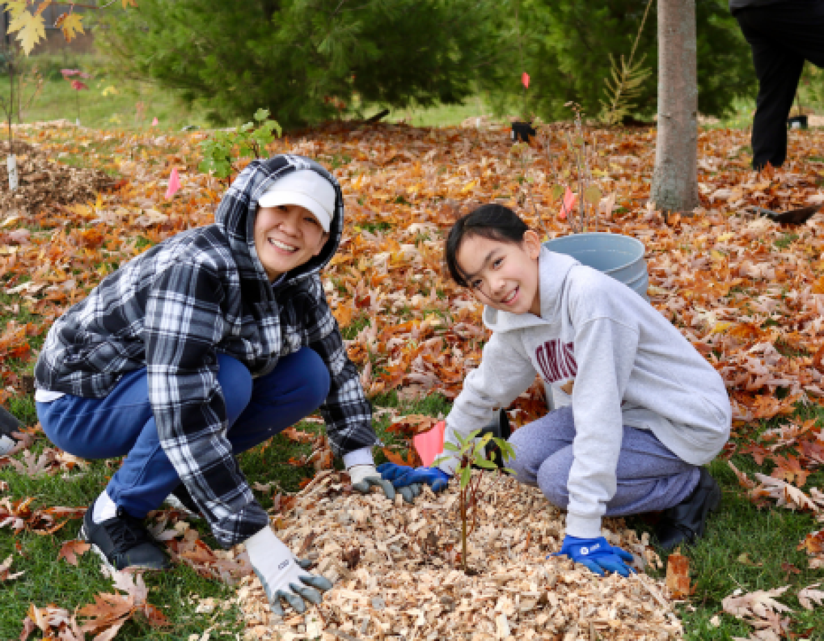 Community Tree Planting in Audrie Sanderson Park (Newmarket)