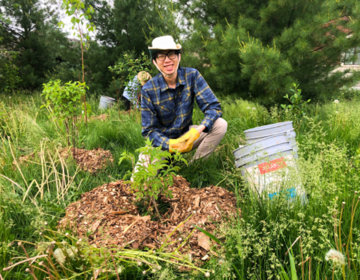 Community Tree Planting in Thomas Coates Park (Aurora)